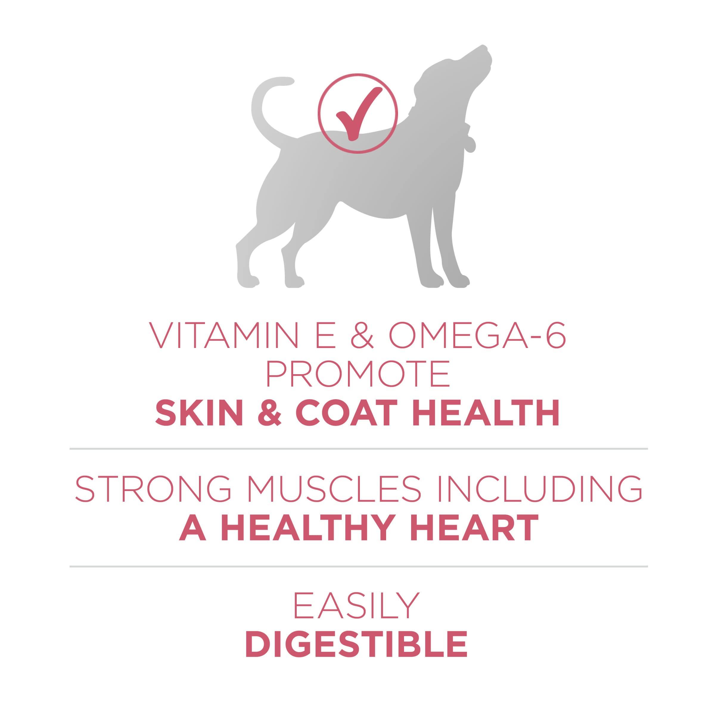 Purina ONE Natural, Sensitive Stomach Dry Dog Food, +Plus Skin & Coat Formula - 31.1 lb. Bag - Image 4