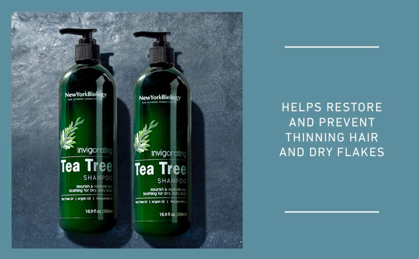 New York Biology Tea Tree Shampoo and Conditioner Set - Deep Cleanser - Relief for Dandruff and Dry Itchy Scalp - Therapeutic Grade - Helps Promote Hair Growth - 16.9 Fl Oz - Image 6