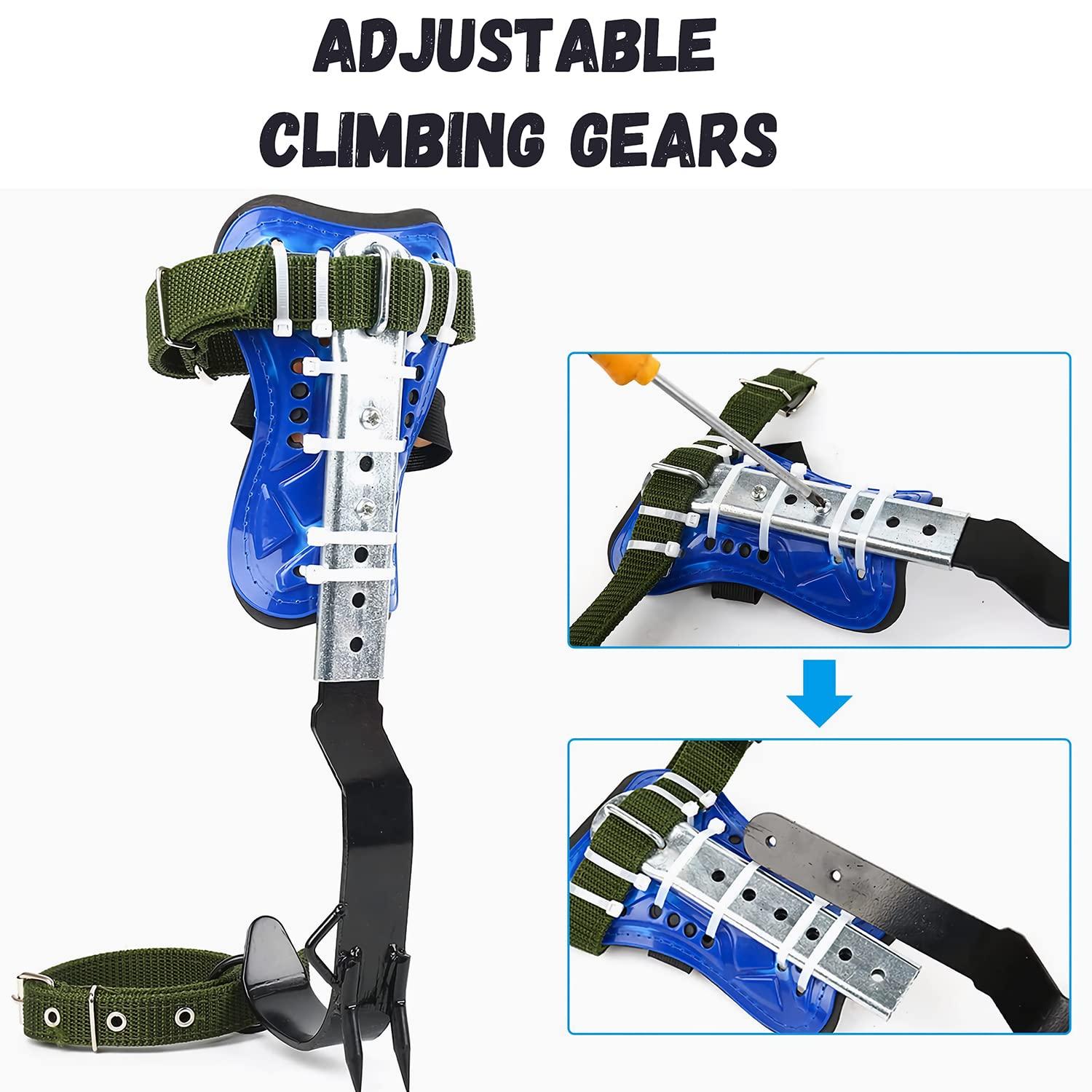 RANLOVE Tree Climbing Spikes Set, 304 Stainless Steel Adjustable Tree Climbing Spike 2 Gears and Non-Slip Pedal Trees, Picking Fruit - Image 3