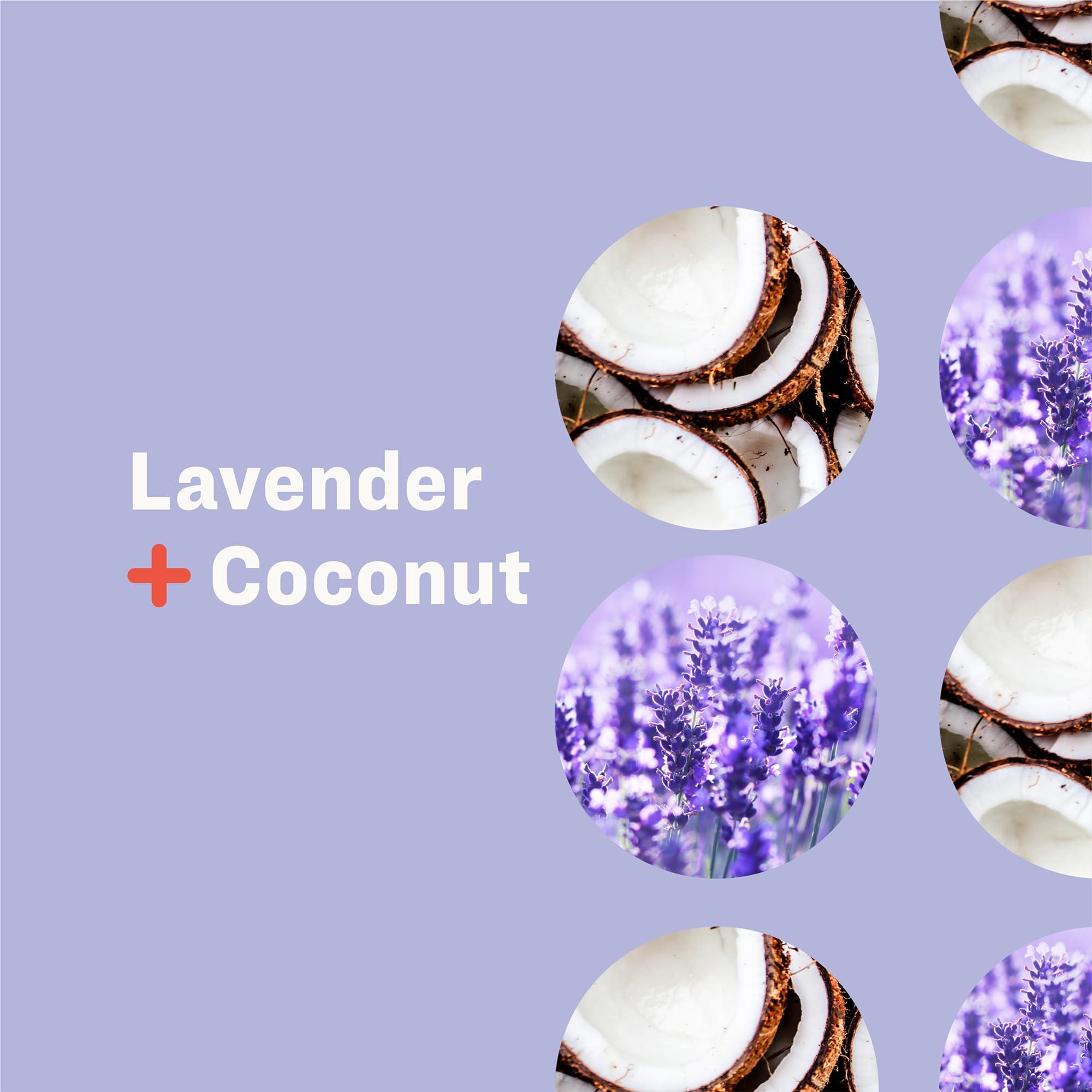 Everyone Liquid Hand Soap, 12.75 Ounce (Pack of 3), Lavender and Coconut, Plant-Based Cleanser with Pure Essential Oils - Image 4