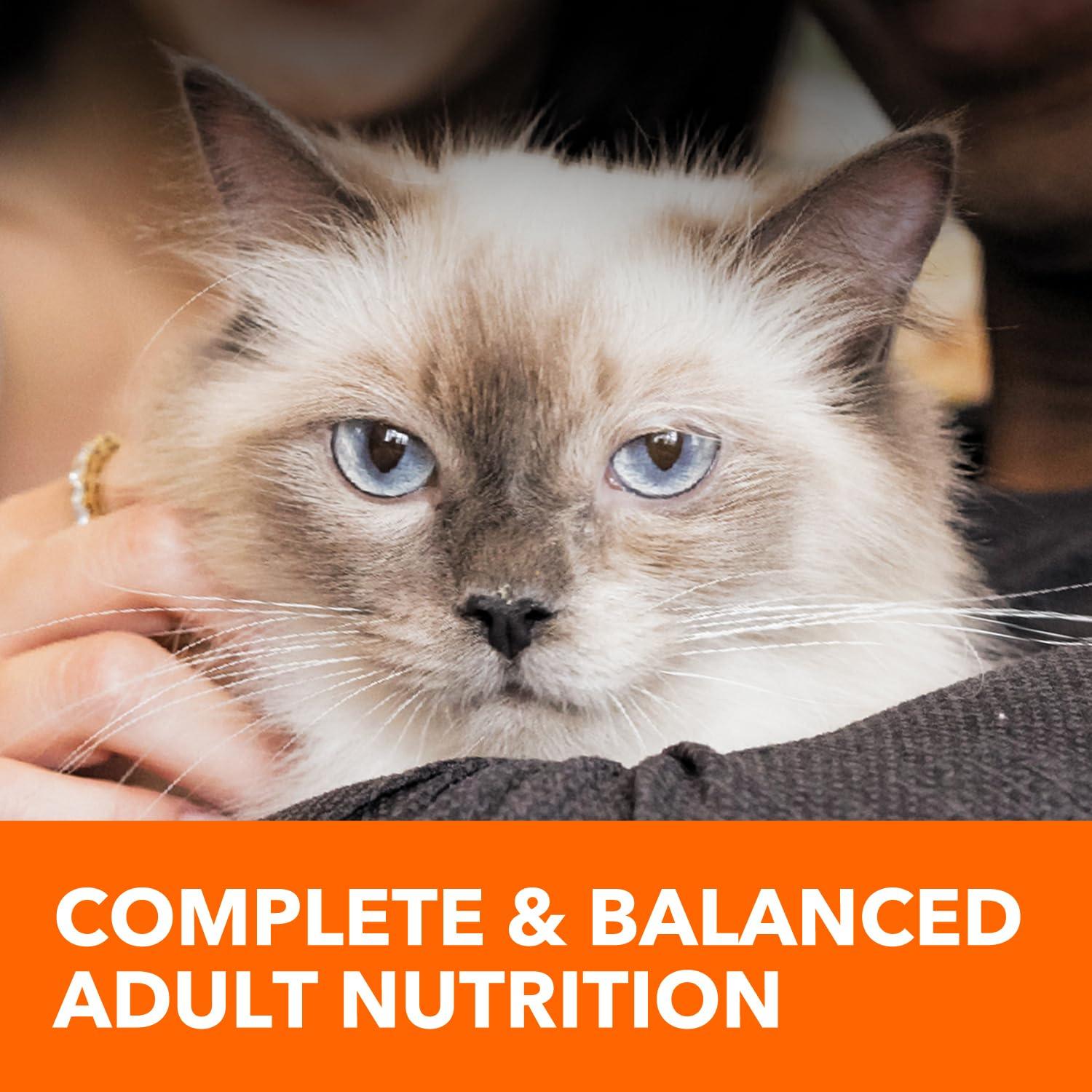 IAMS Proactive Health Long Hair Care Adult Dry Cat Food with Real Chicken & Salmon, 6 lb. Bag - Image 10