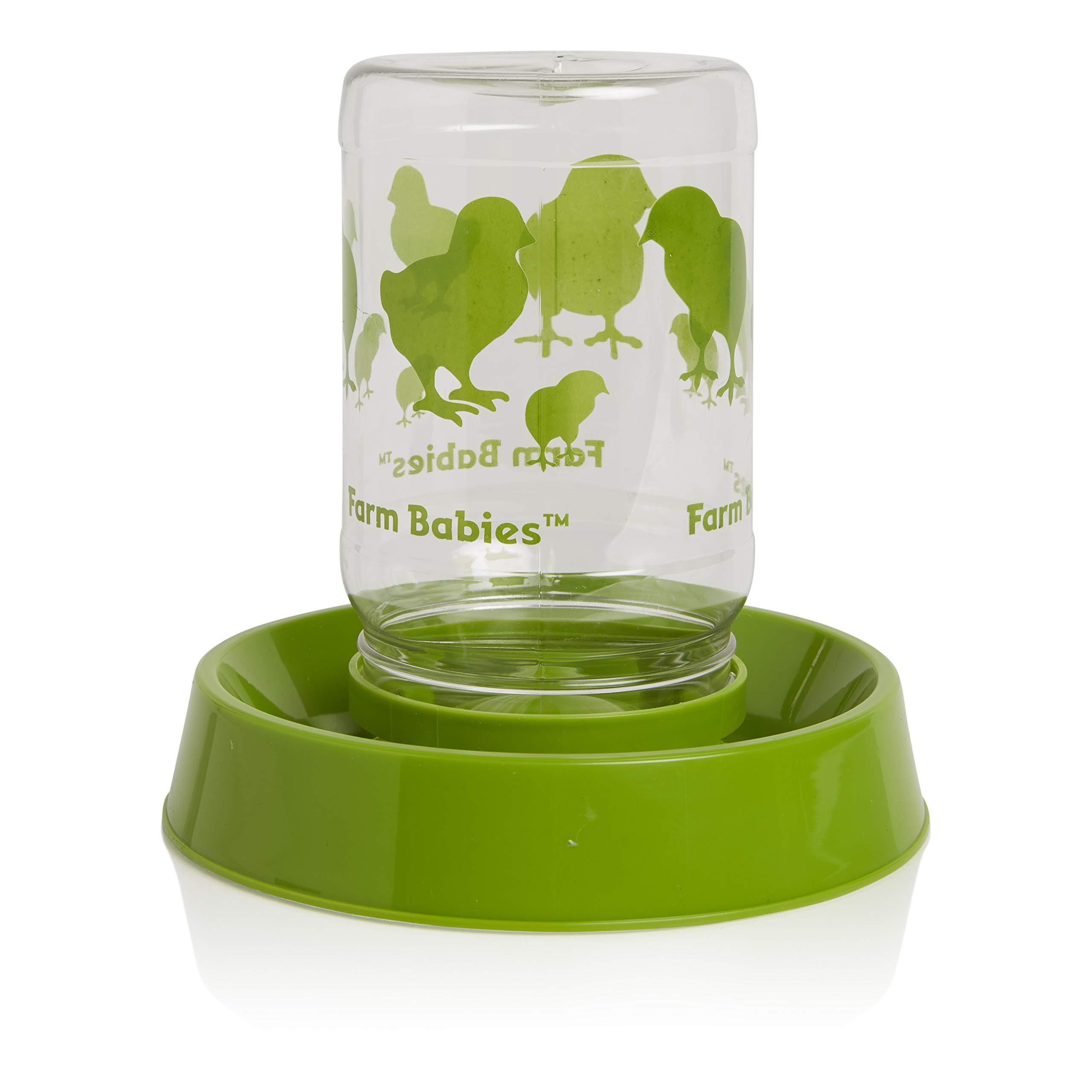 Lixit Baby Chick Feeder or Waterer (Pack of 1) - Image 4