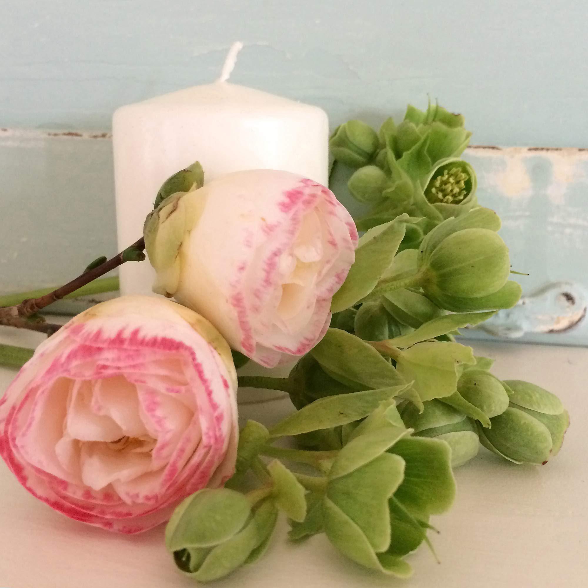 LumaBase Votive Candles, 15 Hour - Set of 36 - Image 4