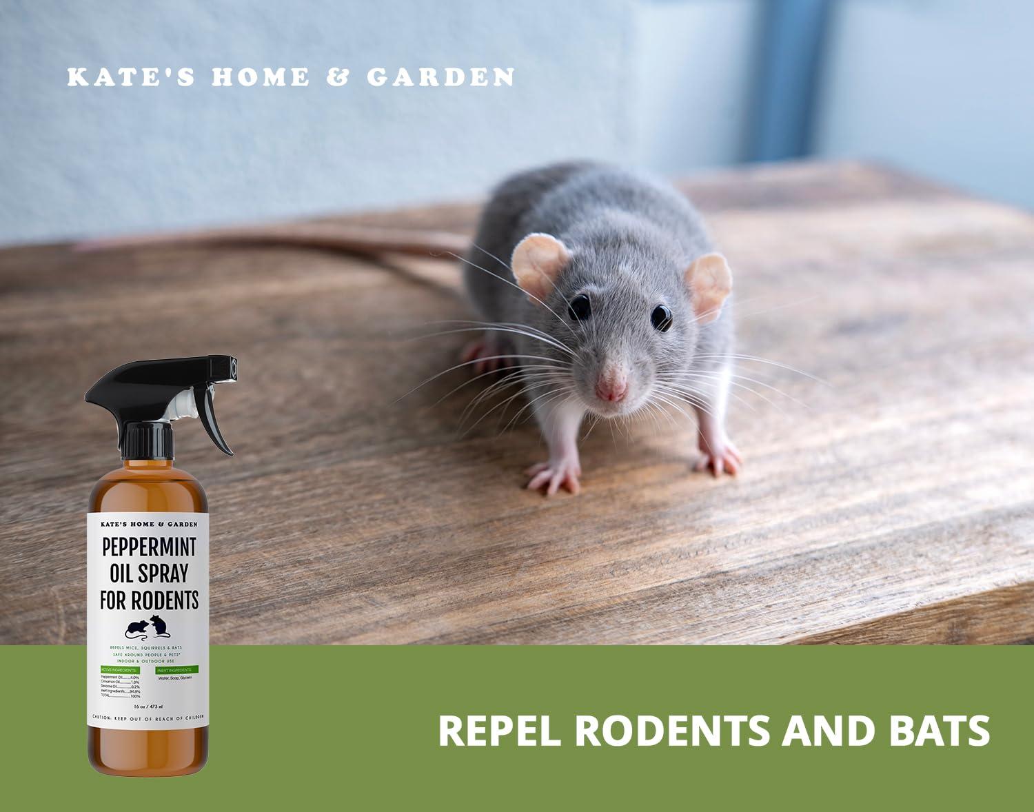 Kate Naturals Peppermint Oil Spray for Rodents, Mouse (16oz, Pet Safe). Rodent Repellent Outdoor for Car Engines, Mice, Rat, Bat, House, Plants, Attic, Basement - Image 5