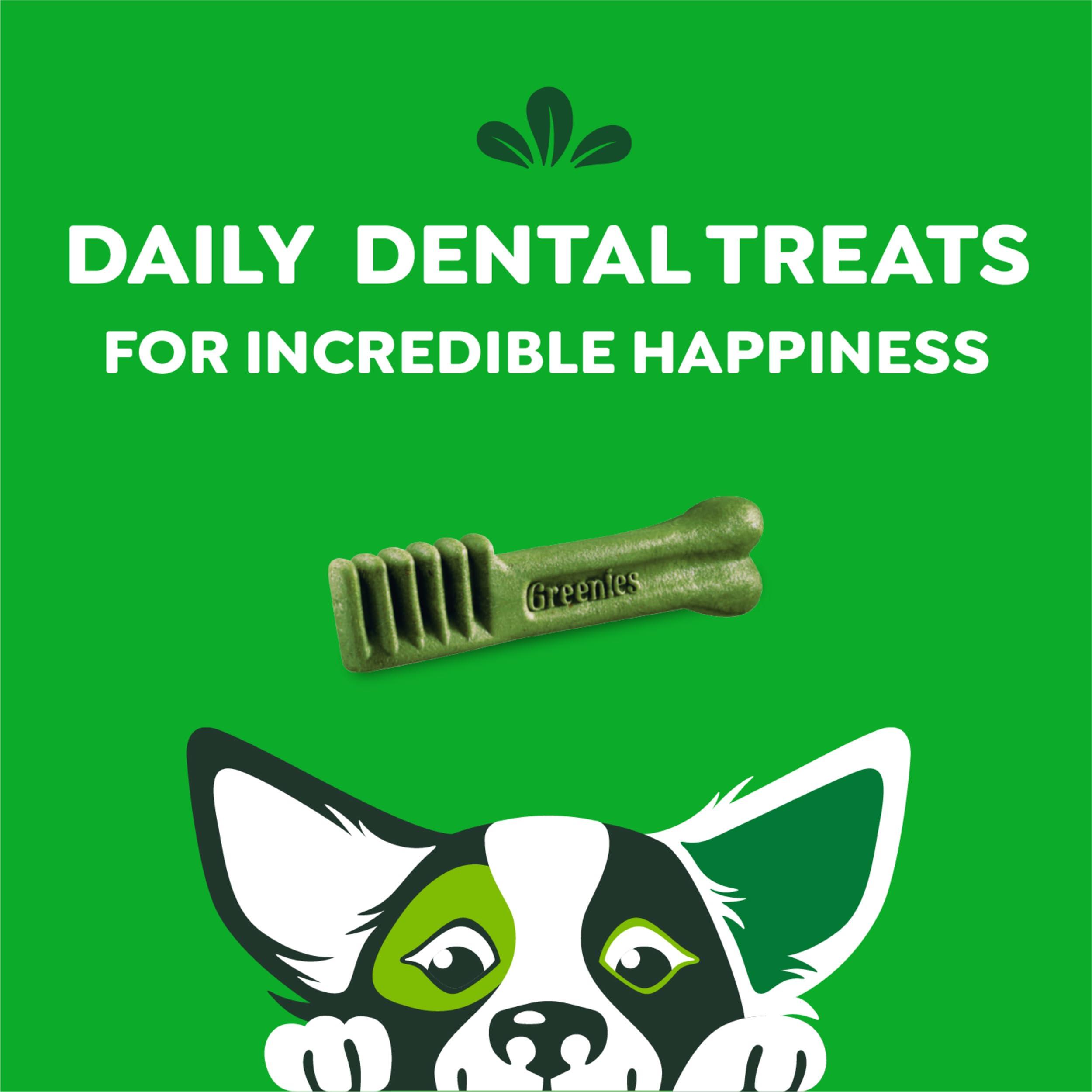 Greenies Original Petite Dental Dog Treats, 36 oz. Pack (60 Treats) - Image 6