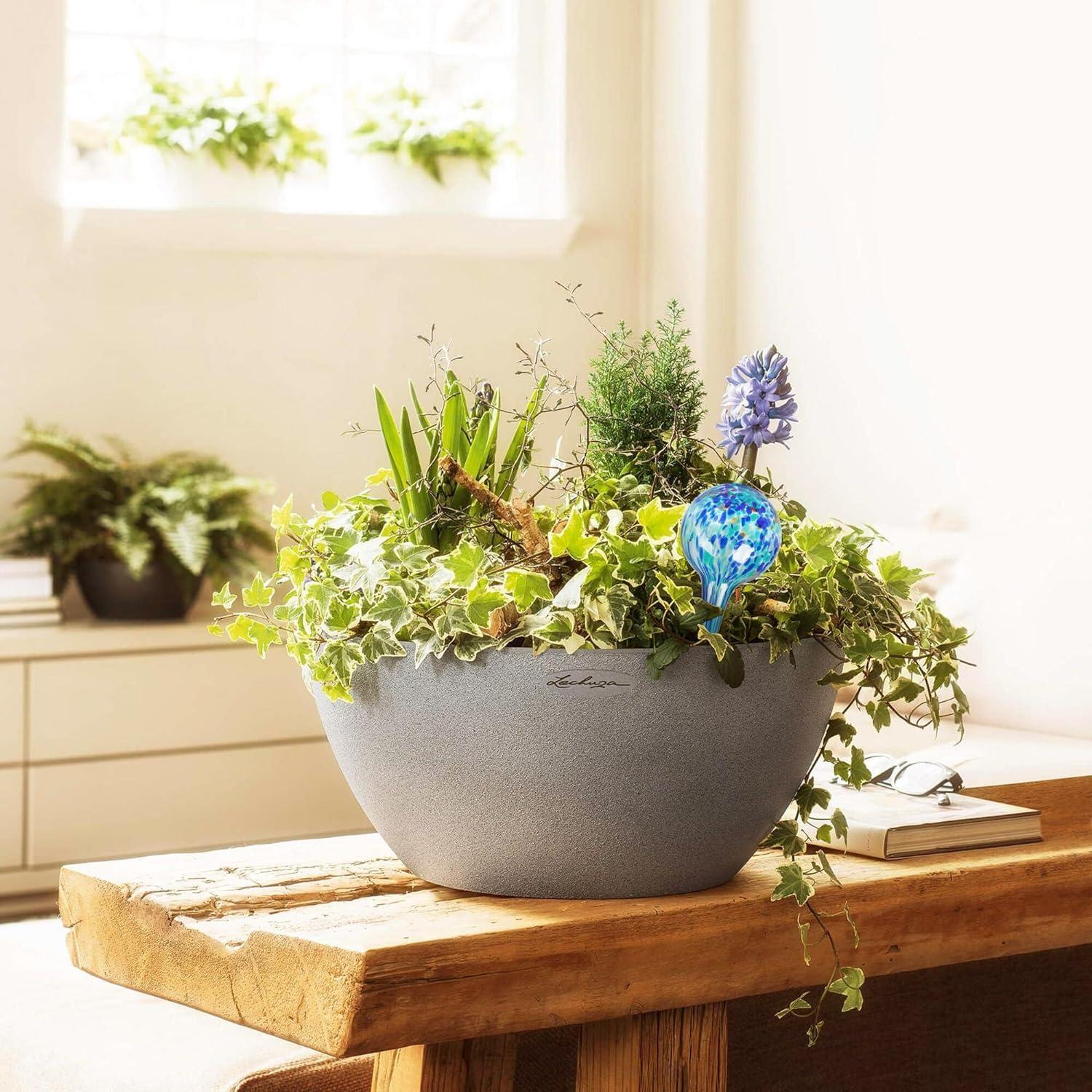 Mission Gallery Plant Watering Globes Set of 6 - Small Self Watering Globes for Indoor & Outdoor Plants - Multicolored, Automatic, Glass Watering Bulbs for Daily Use, Plant Watering Devices - Image 2
