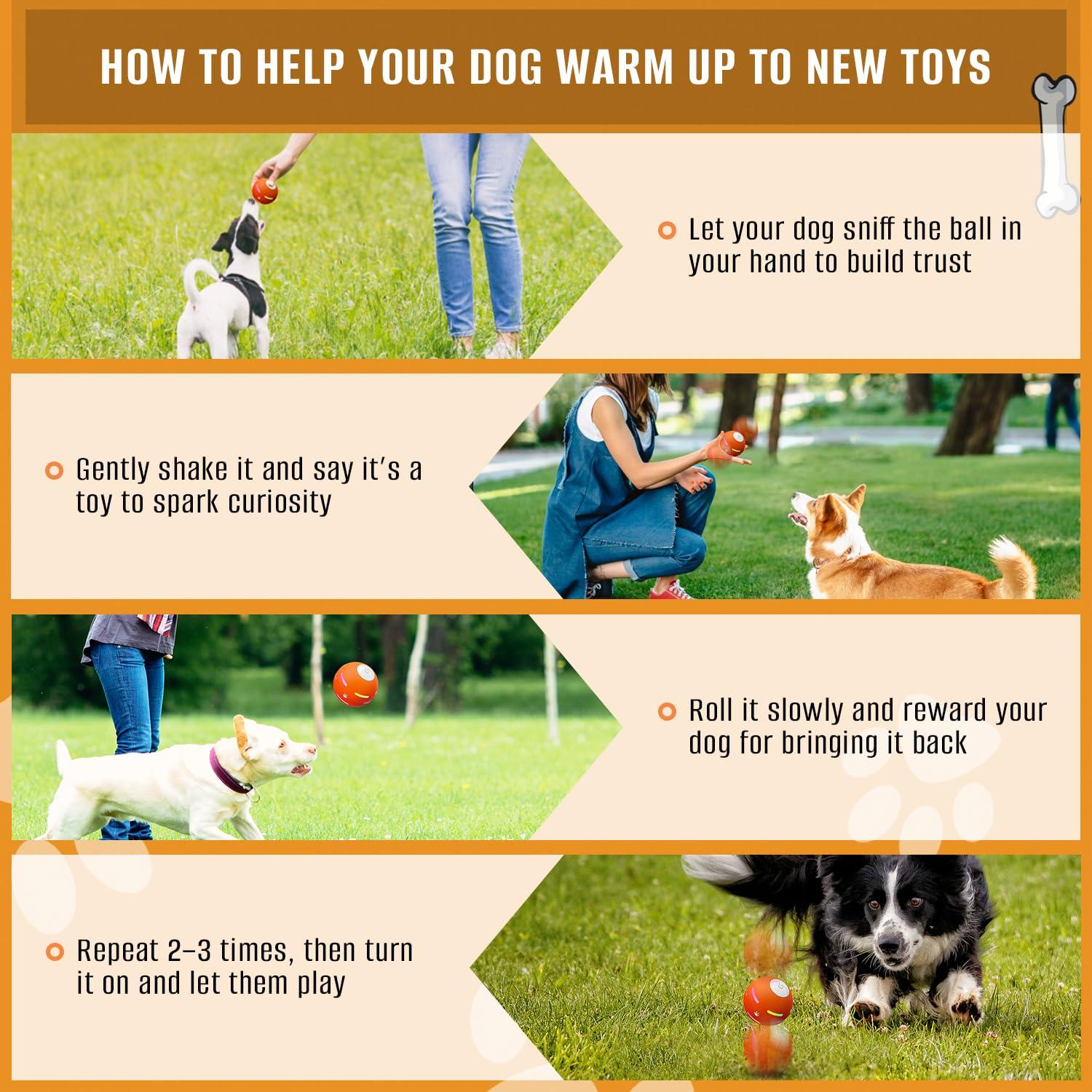 PetDroid Interactive Dog Toys Dog Ball,[2025 Newly Upgraded] Durable Motion Activated Automatic Rolling Ball Toys for/Small/Medium/Large Dogs,USB Rechargeable (Orange) - Image 5