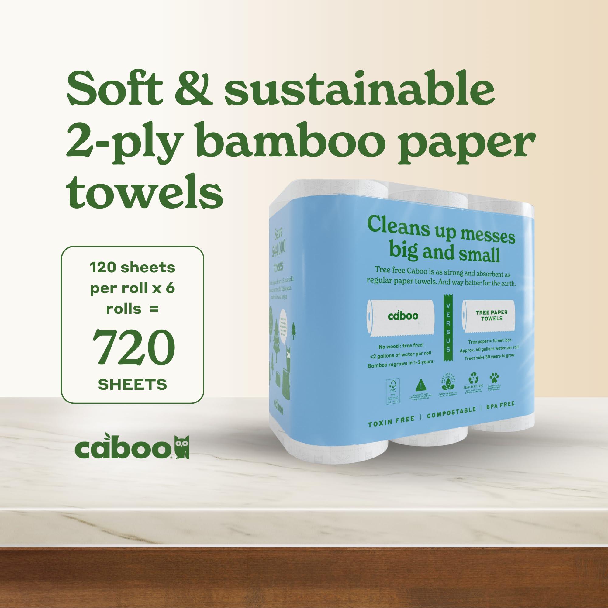 Caboo Tree Free Paper Towels, 6 Rolls, Eco Friendly, Earth Friendly, Sustainable Kitchen Paper Towels with Strong 2 Ply Sheets - Image 3