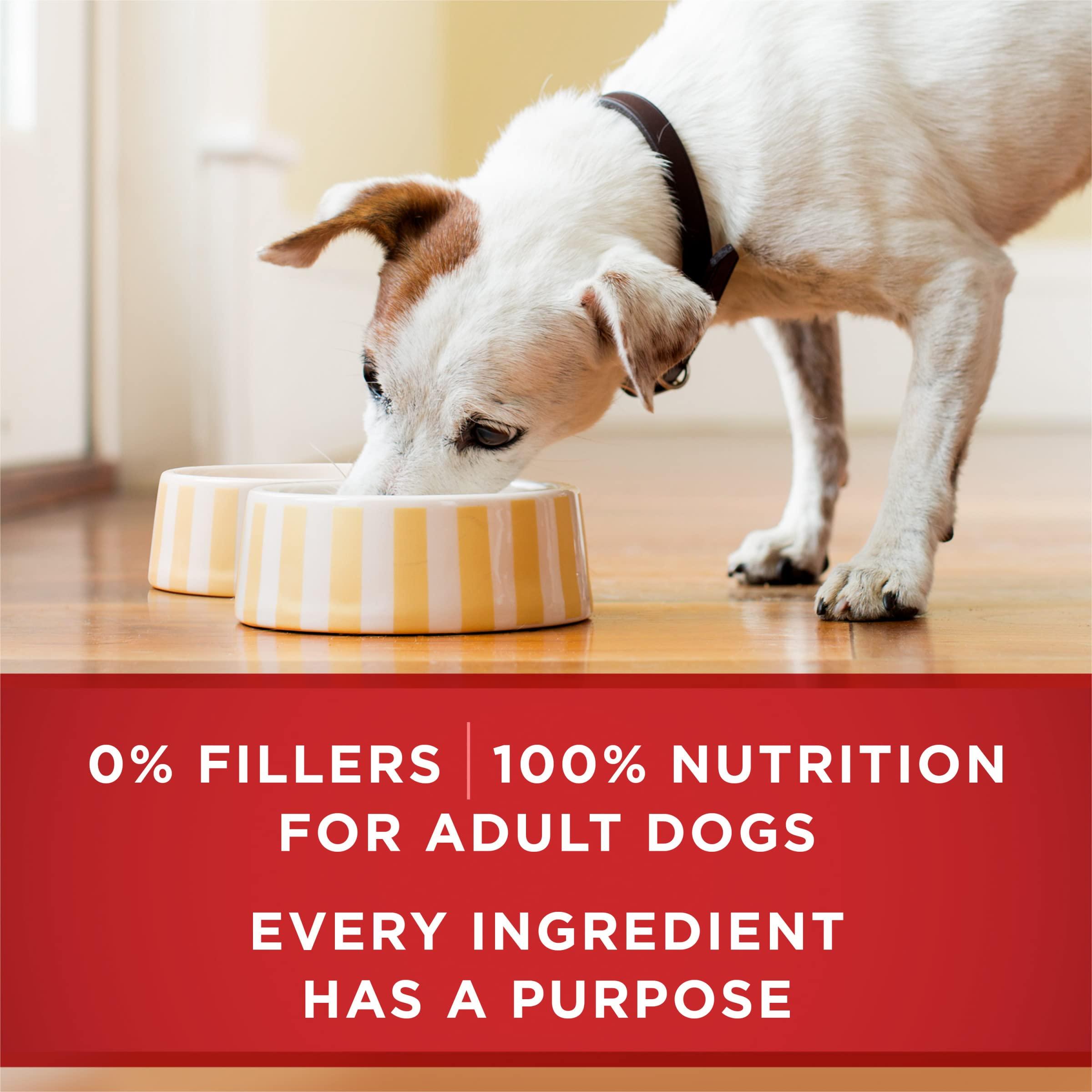 Purina ONE Classic Ground Chicken and Brown Rice, and Beef and Brown Rice Entrees Wet Dog Food Variety Pack - (Pack of 6) 13 oz. Cans - Image 8