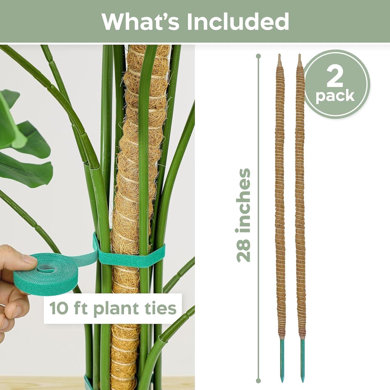 2 Pack 28'' Bendable Moss Pole Monstera Plant Support for Climbing Indoor Plants - Stakes for Potted Climbers - Tall Sticks Indoor Trellis for Houseplants - Accessories for Monstera Pot - Image 2