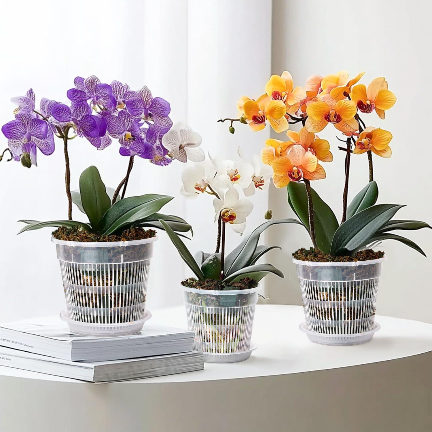 T4U Orchid Pot, 6 Pack 6.3 Inch Orchid Pots with Holes and Saucers, Clear Orchid Pots for Repotting, Plastic Flower Plant Pot for Indoor Outdoor Plants, Slotted Orchids Planter for Root Health - Image 2