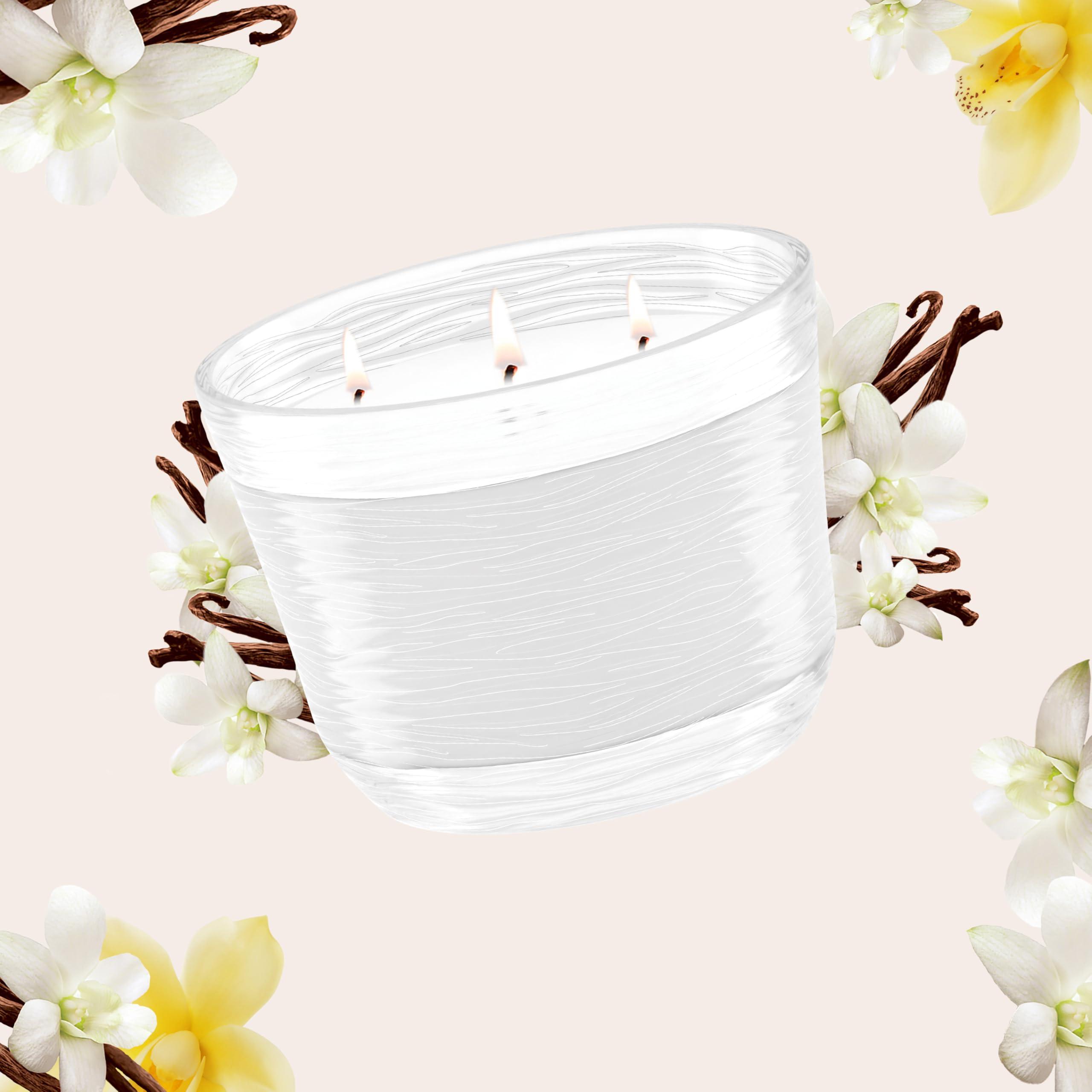 Glade Sheer Vanilla Embrace 3-Wick Fragrance Candle, Essential Oil Infused, Air Freshener, 6.8 Oz, 3 Count - Image 9