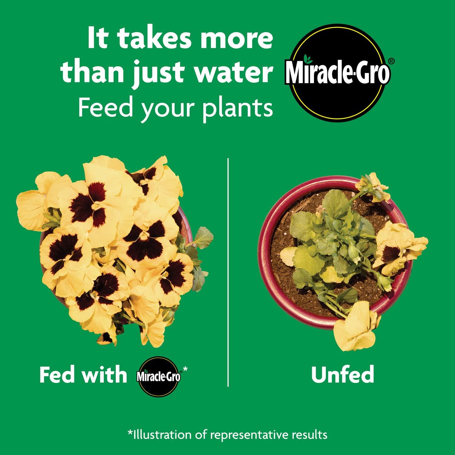 Miracle-Gro Shake 'N Feed All Purpose Plant Food, For In-Ground and Container Plants, Feeds for up to 3 Months, 4.5 lbs. - Image 10