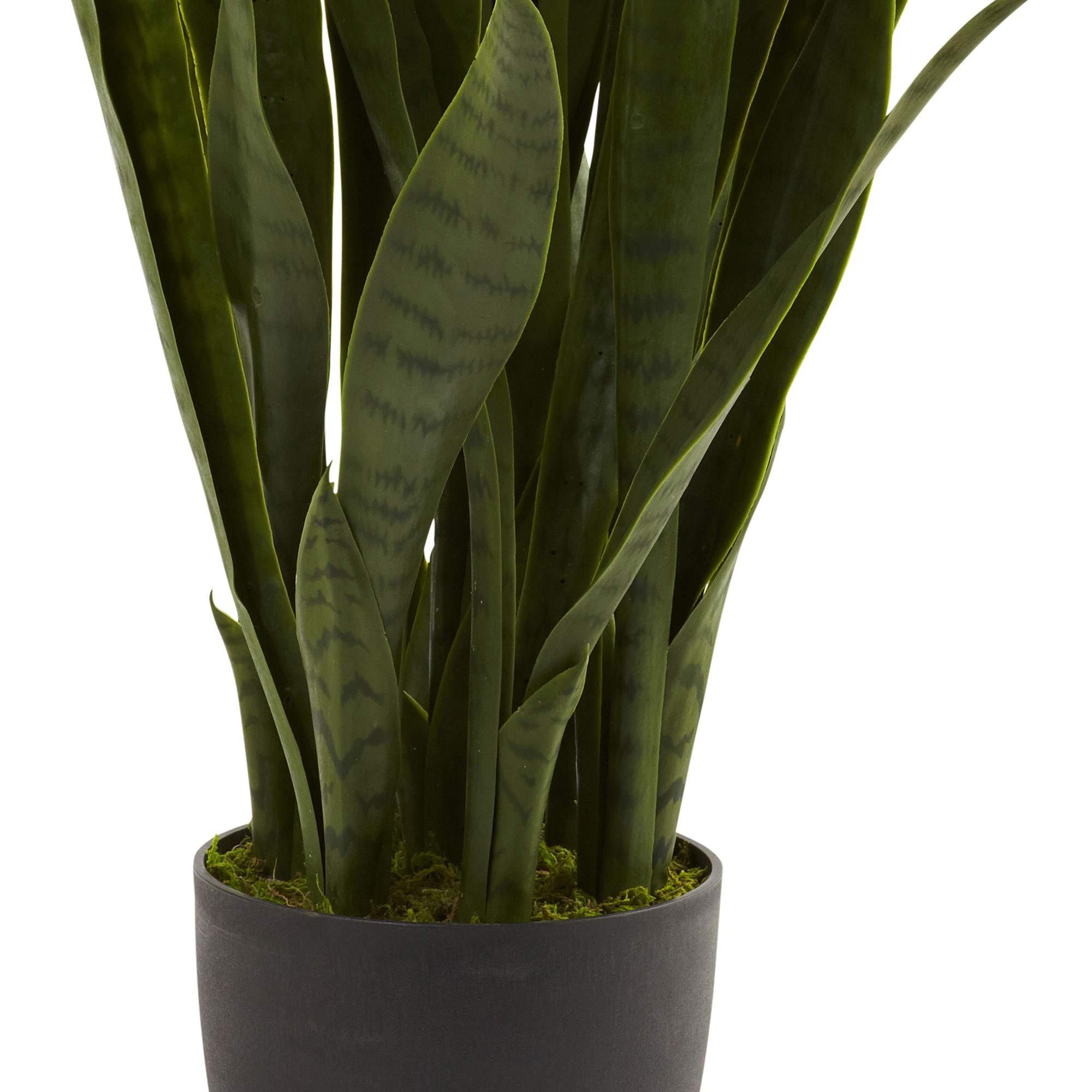 Nearly Natural, Green 4855 35in. Sansevieria with Black Planter - Image 7