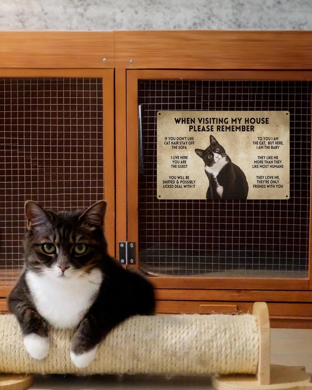 ALKB Funny Tuxedo Cat-Themed Sign 8x12 Inch - Visitor’s Guide to Interacting with Cats - Gift for Cat Lovers’ Home Decor - Image 2