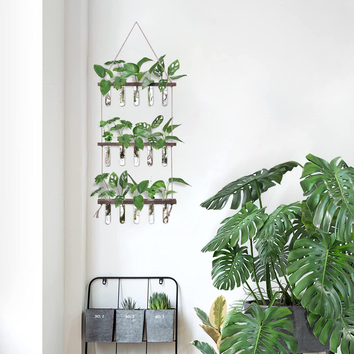 XXXFLOWER Wall Hanging Propagation Station with Wooden Stand 5 Glass Test Tubes 3 Tiered Planters Wall Terrarium for Home Office Plant Hanger Flower Vases Wall Decor Hydroponic Cuttings - Image 8