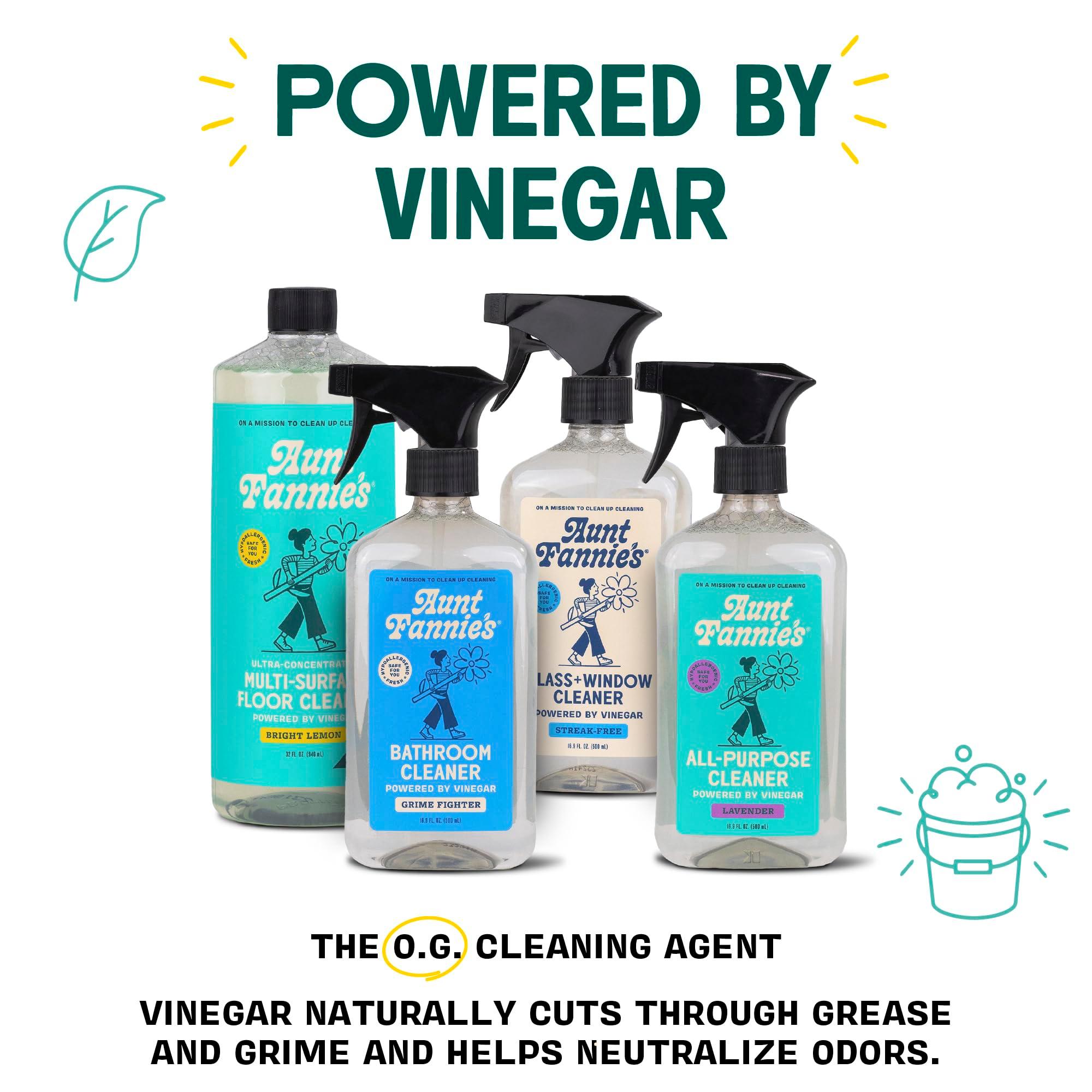 Aunt Fannie's Natural Cleaning Vinegar Wipes, Multipurpose Surface Cleaner, Eucalyptus Scent, 35 Count (Pack of 1) - Image 3