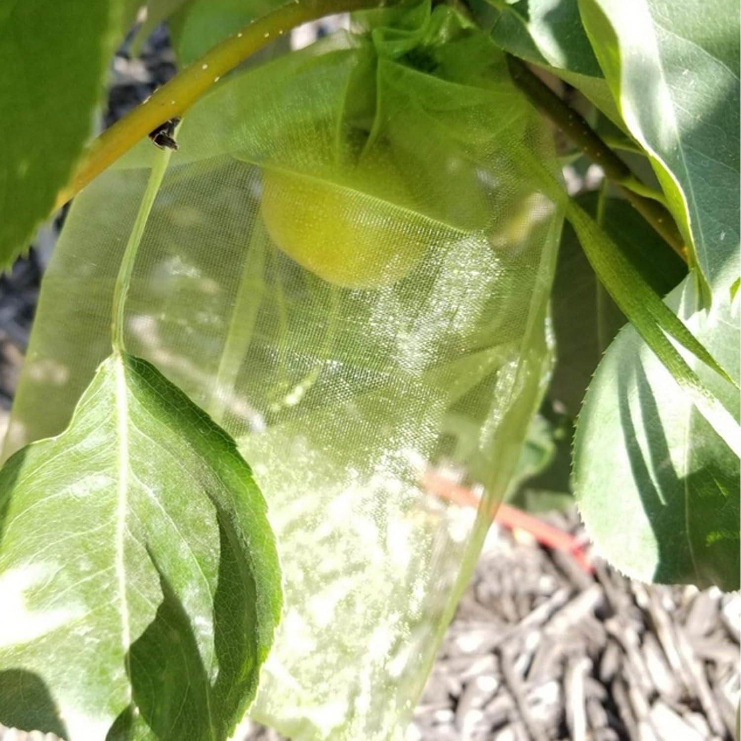 30 Pcs 5.9''×7.8'' Drawstring Fruit Netting Bags, Reusable Garden Netting Bags, Medium Fruit Protection Bags, Fruit Cover Mesh Bag for Fruit Trees Vegetable Floral - Image 6