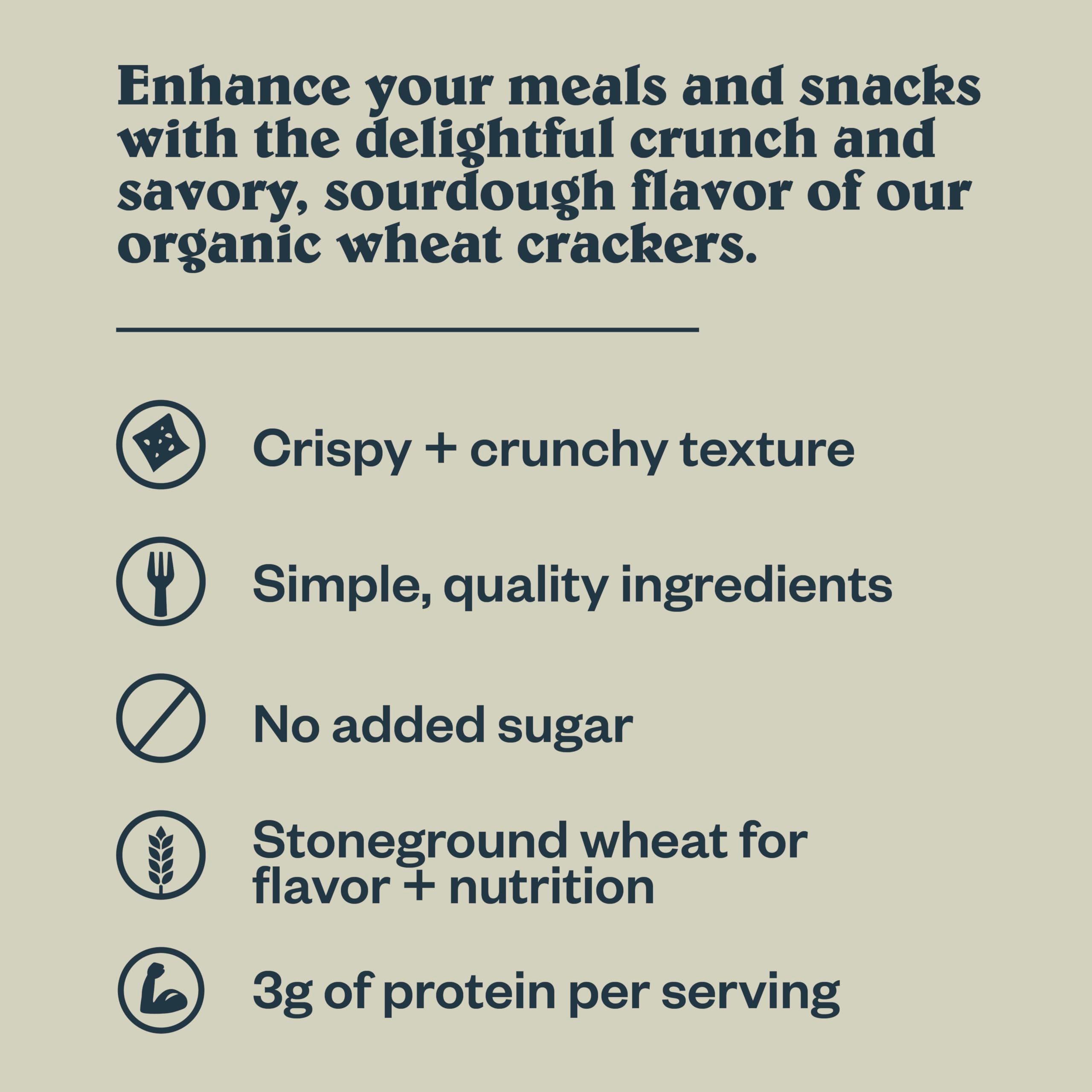 Patagonia Provisions Organic Sourdough Sea Salt Crackers – 3g Plant Protein Per Serving – Made with Wheat Flour & Sea Salt – Non-GMO, No Added Sugar - Crispy & Crunchy - Image 7