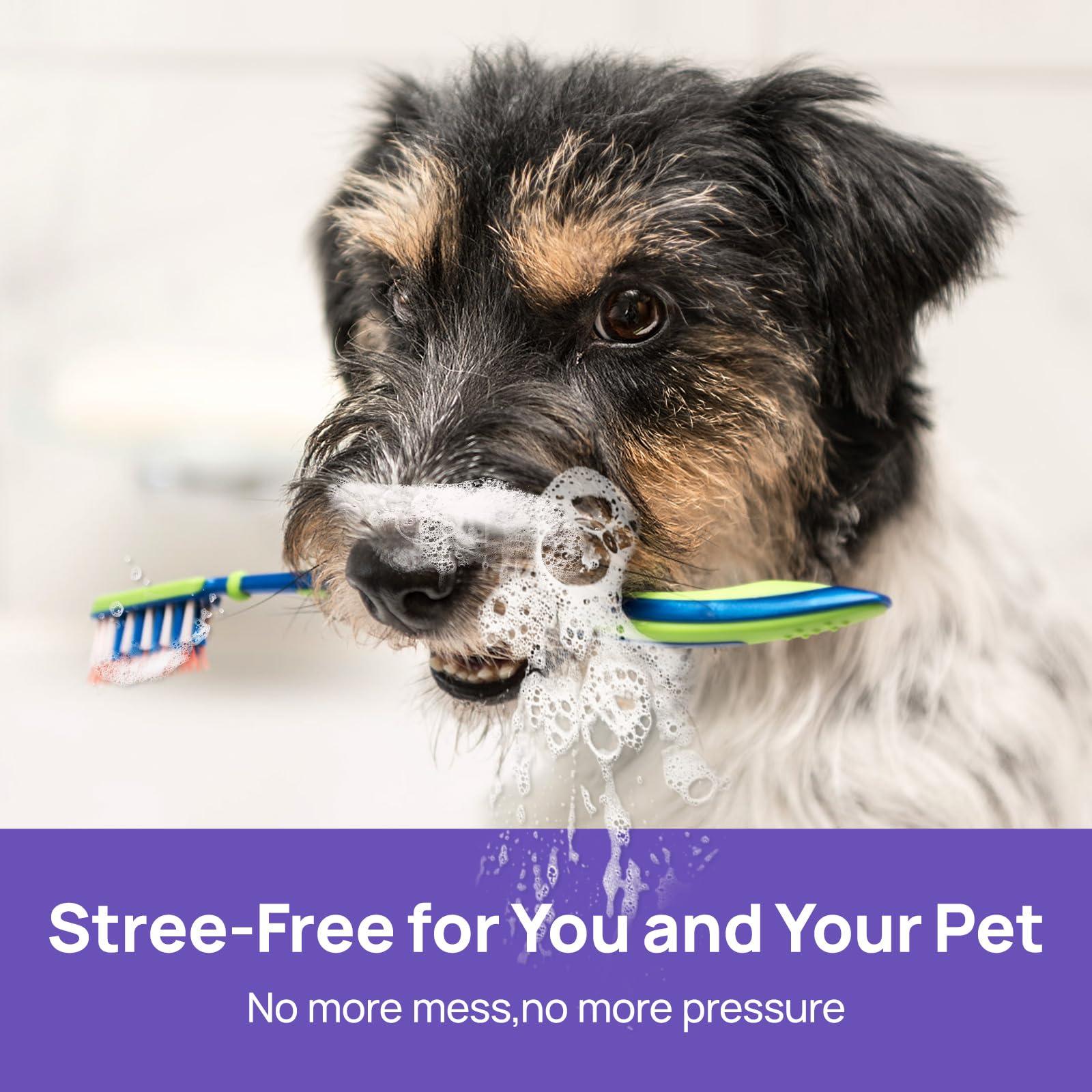 HICC PET Oral Care Spray for Dogs and Cats, Pet Breath Dental Care Spray, Dog Gingivitis Treatment, Fight Bad Breath Caused by Plaque and Gum Redness, Dog Tooth Brushing Kit, 5.1 Fl Oz - Image 6