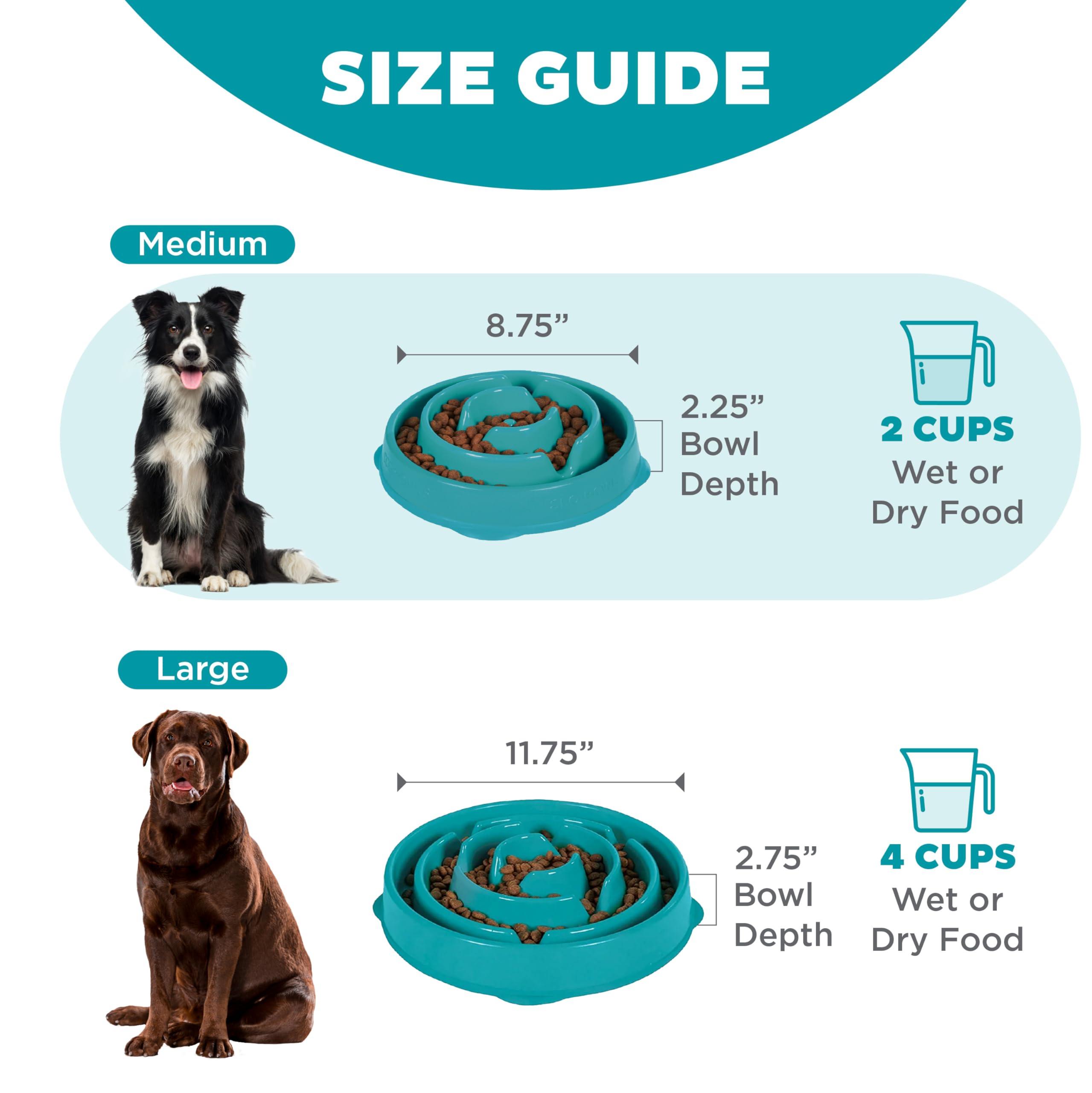 Outward Hound Fun Feeder Slo Bowl, Slow Feeder Dog Bowl, Medium/Mini, Turquoise - Image 5