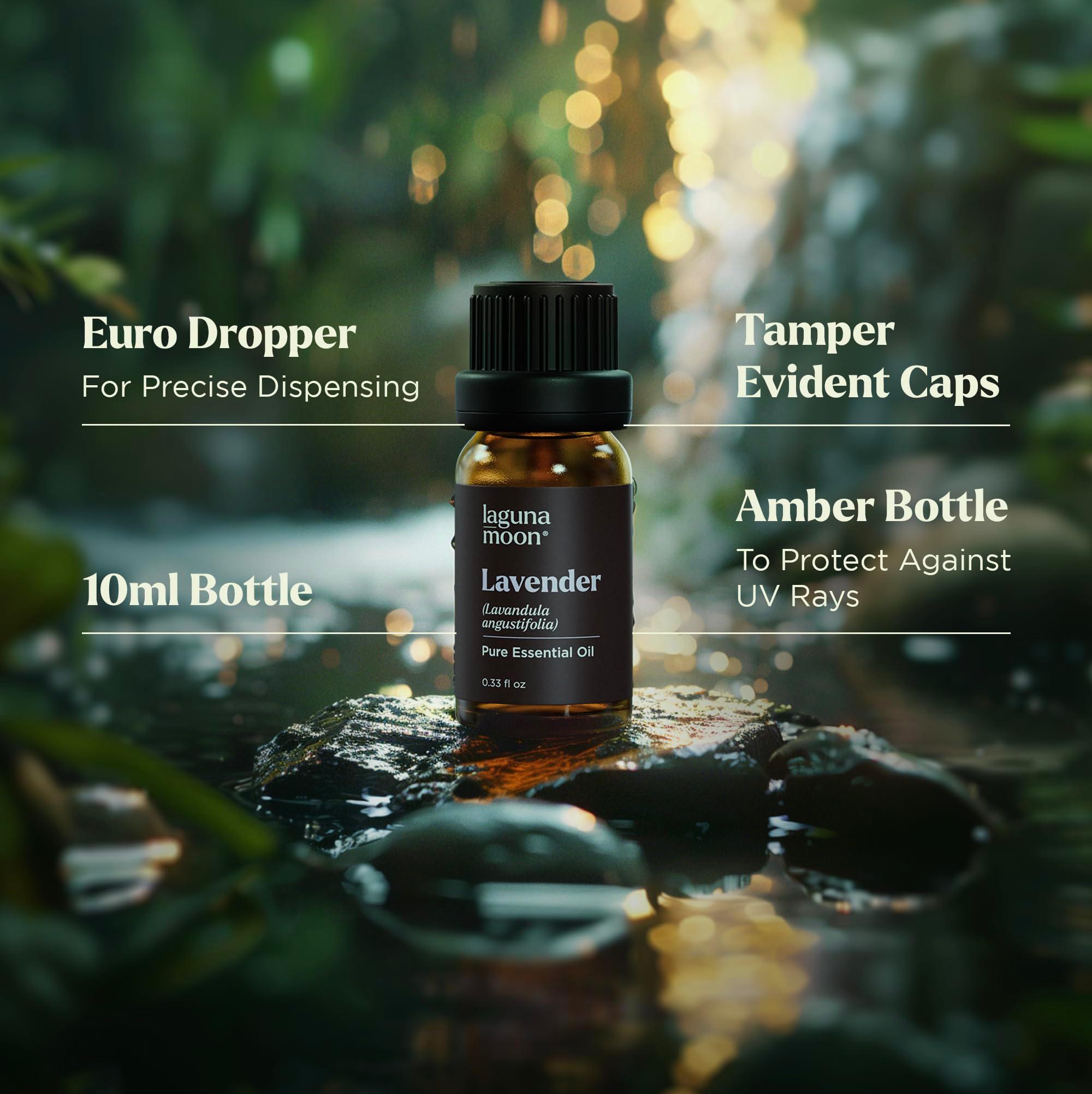 Essential Oils Set - Top 6 Blends for Diffusers, Home Care, Candle Making Scents, Fragrance, Aromatherapy, Humidifiers, Gifts - Peppermint, Tea Tree, Lavender, Eucalyptus, Lemongrass, Orange (10mL) - Image 5