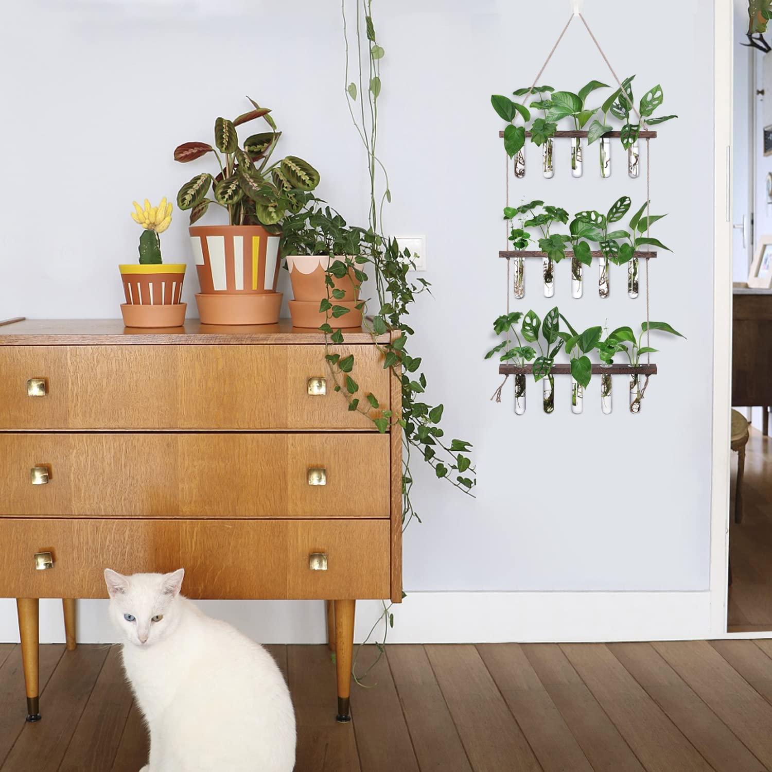 XXXFLOWER Wall Hanging Propagation Station with Wooden Stand 5 Glass Test Tubes 3 Tiered Planters Wall Terrarium for Home Office Plant Hanger Flower Vases Wall Decor Hydroponic Cuttings - Image 2