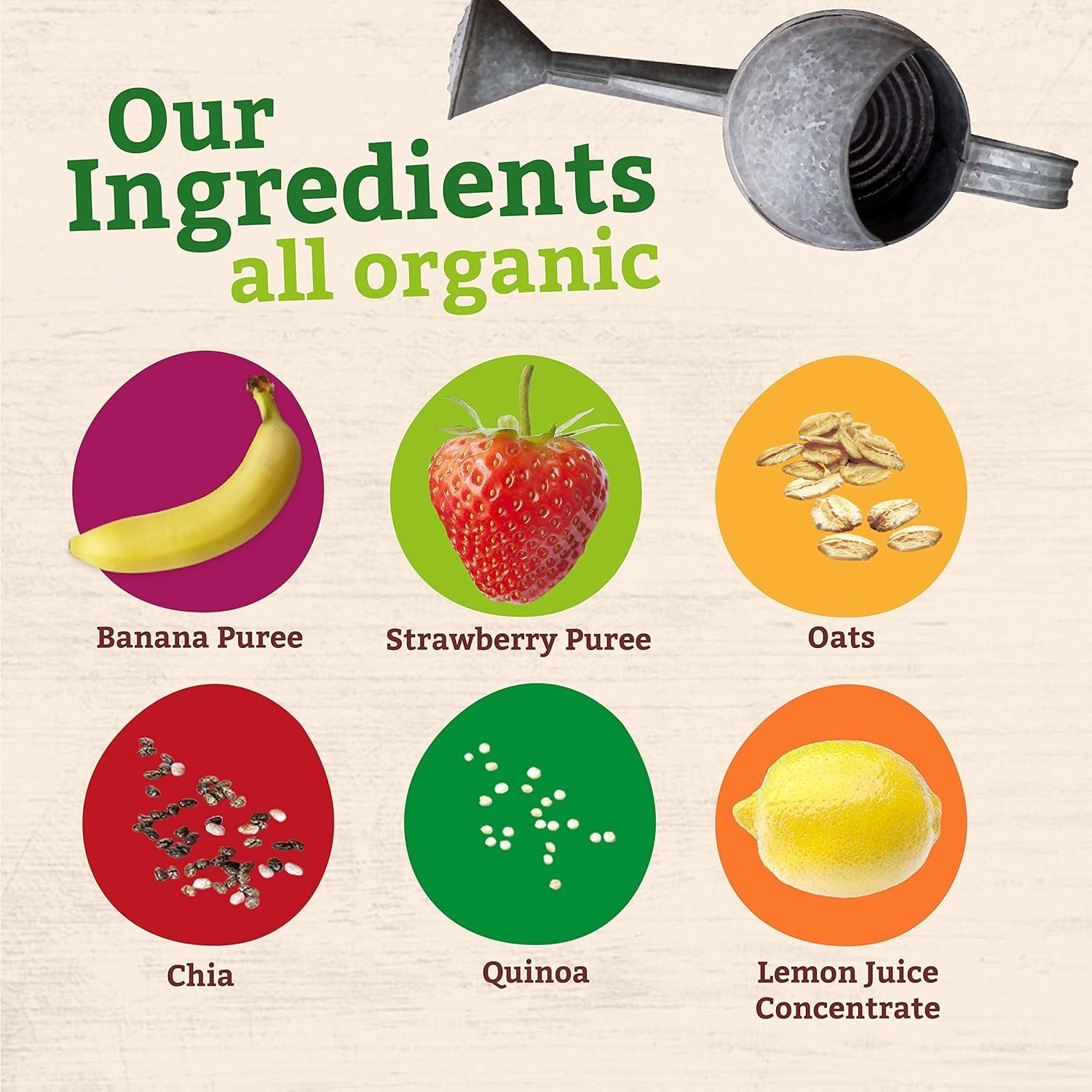 Pumpkin Tree Organics Super Oats & Seeds, Banana & Strawberry, 4 Ounce (Pack of 10) - Image 5