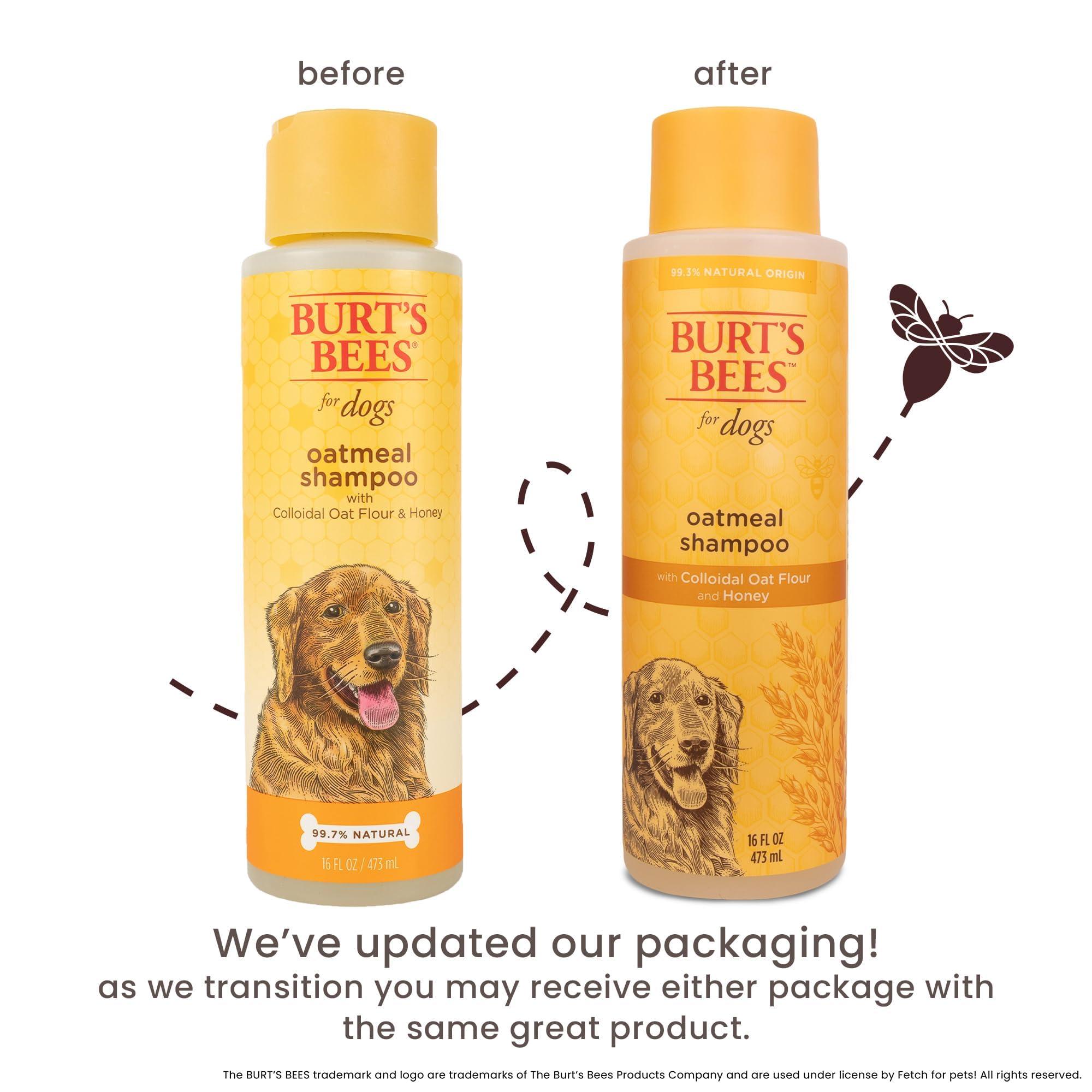 Burt's Bees for Pets Oatmeal Dog Shampoo with Colloidal Oat Flour and Honey, 95% Natural Origin Formulas, Shampoo for Dogs - Gentle Dog Shampoo, Best Dog Shampoo, 16 oz - Image 4