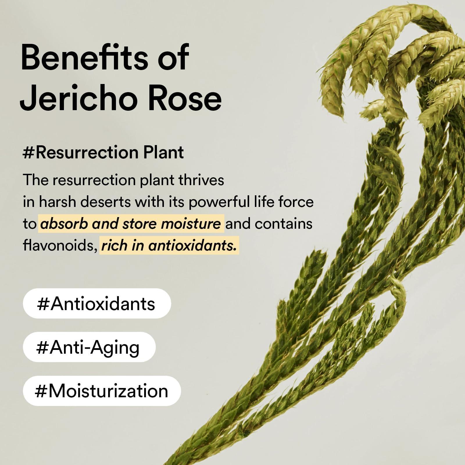 Abib Collagen Eye Patch Jericho Rose Jelly 60 Patches, Korean Under Eye Patches for Puffy Eyes and Dark Circles, Anti-Wrinkle, Collagen, Caffeine, Niacinamide, Ceramide, Antioxidant, Skin Care - Image 5