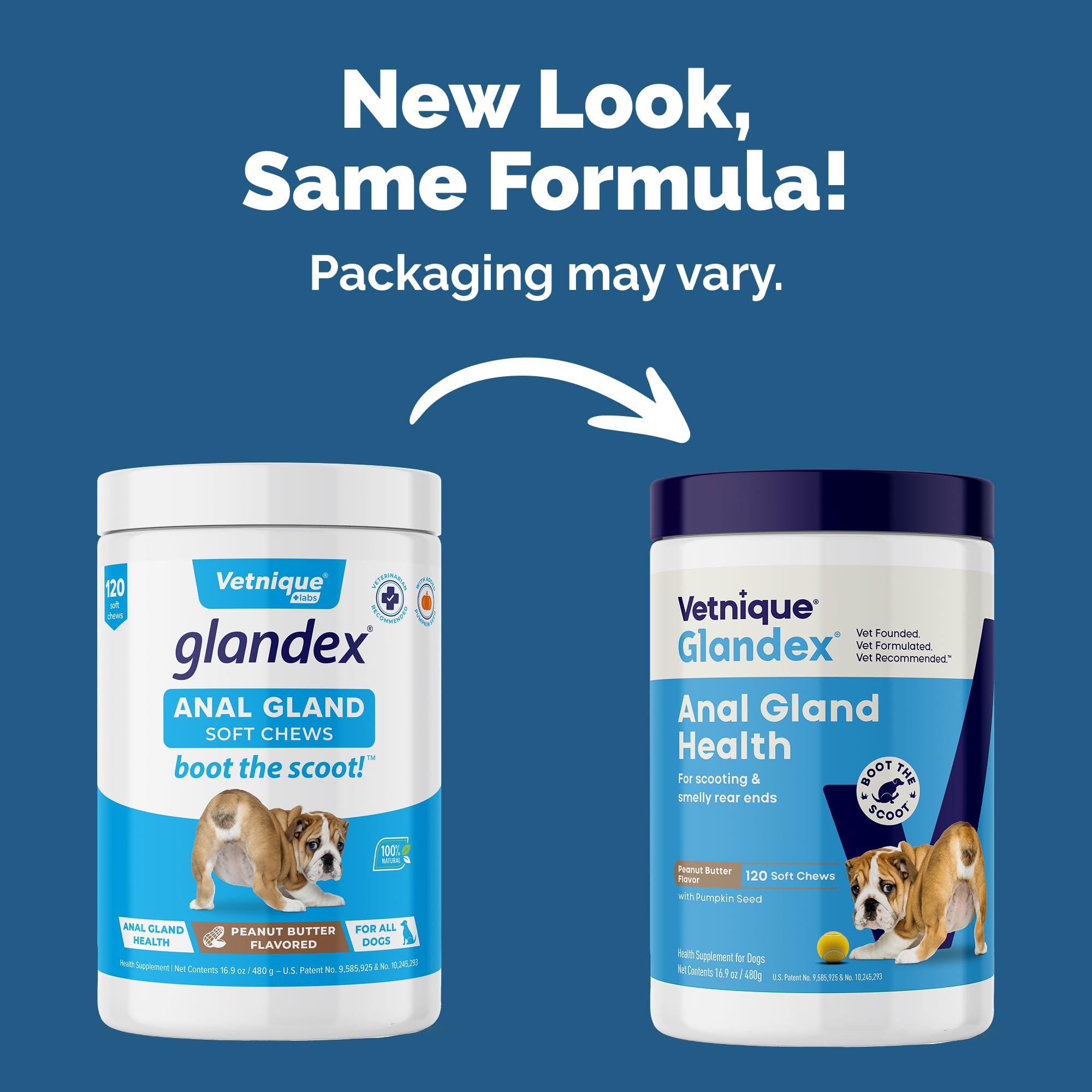Vetnique Glandex Anal Gland Soft Chew Treats with Pumpkin for Dogs Digestive Enzymes, Probiotics Fiber Supplement for Dogs Boot The Scoot (Peanut Butter Chews, 120 Count) - Image 2
