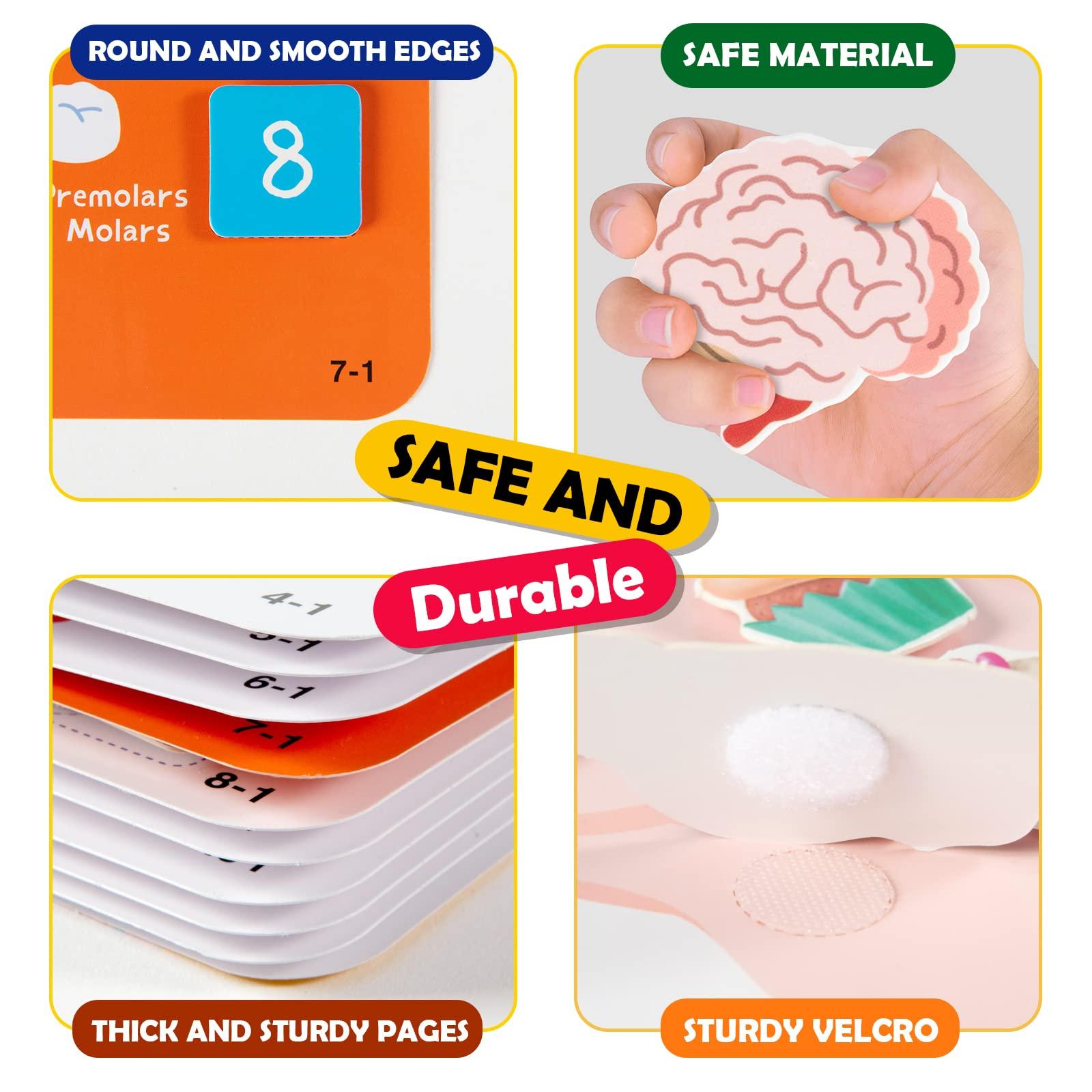 Freebear Montessori Busy Book for Kids, Human Body Anatomy Book for Toddlers, Preshool Kindergarten Learning Activities, Autism Sensory Toys, Travel Toys, Gifts for Girls and Boys 4 5 6 7 8 Years - Image 7