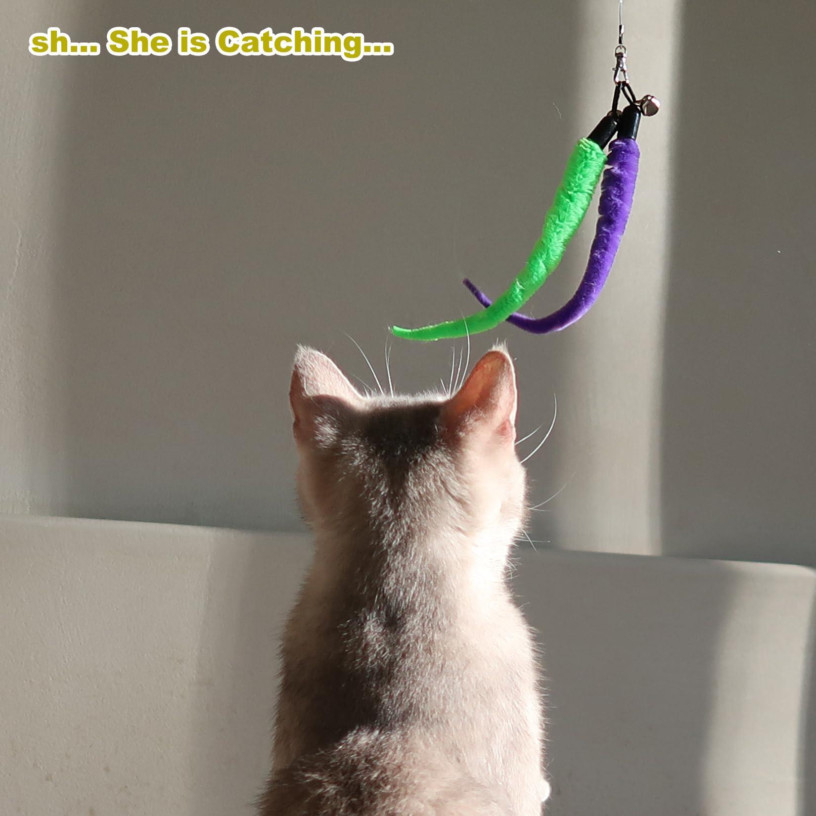 MeoHui Interactive Cat Toys - Retractable Wand Toy and Feather Toys Refills for Indoor Cats to Chase and Exercise - Image 8