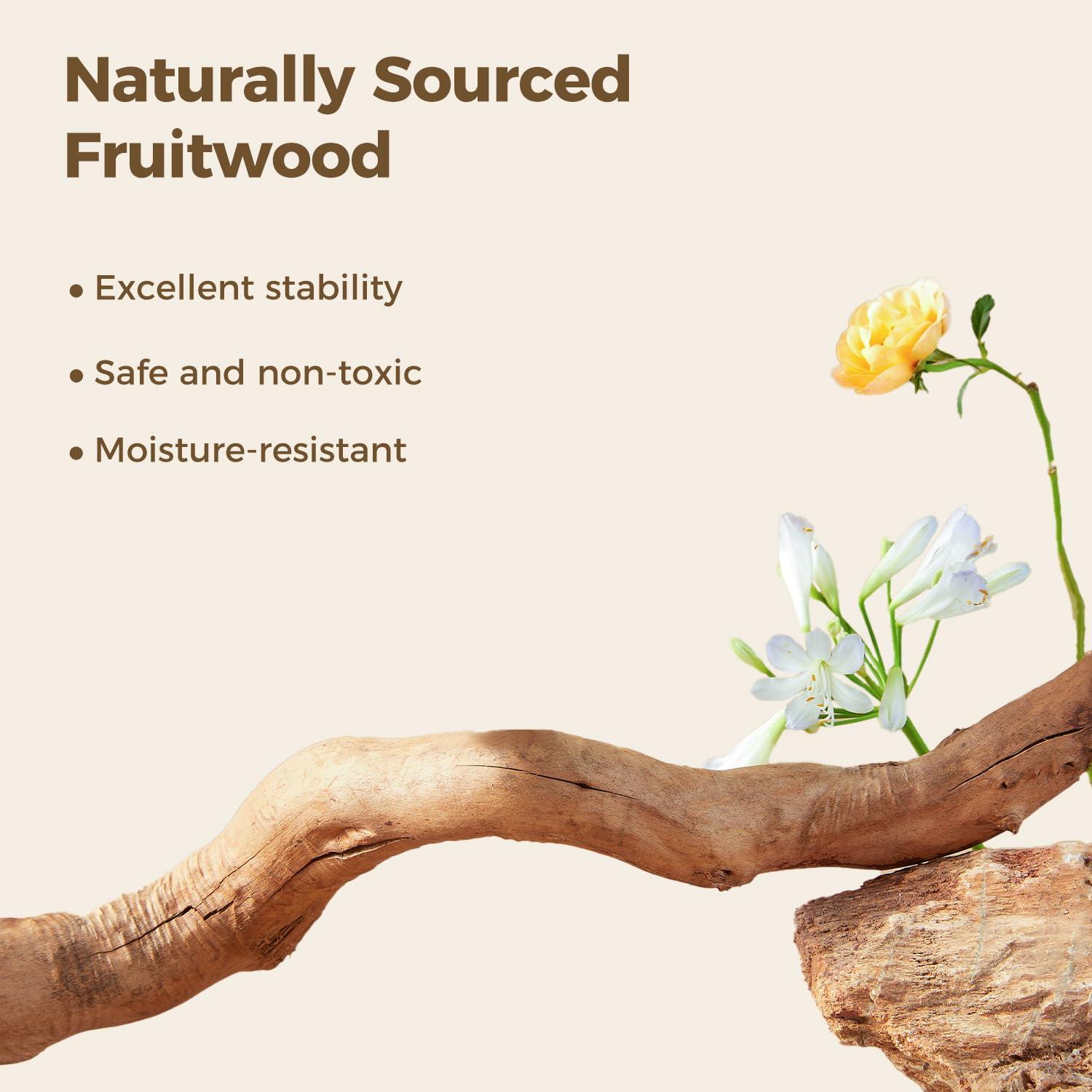 MUTTROS Wood Flower Cat Tree, Modern Cat Tower with Real Wood Branches, Luxury Boho Furniture with Scratching Post and 2 Perches, Cat Climbing Tower for Indoor Cats, Cloud White - Image 3