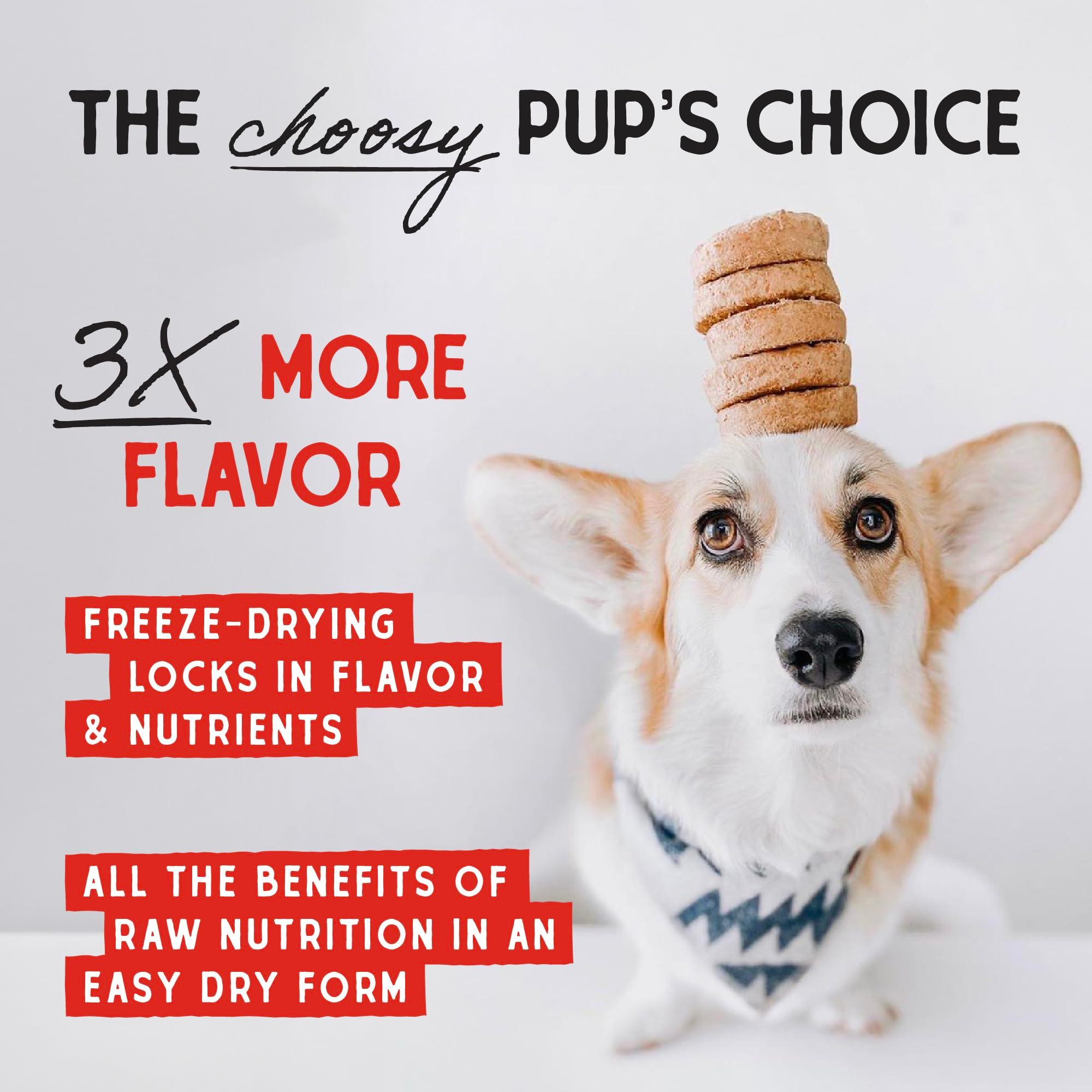 Stella & Chewy's Freeze-Dried Raw Dinner Patties - Beef Recipe - High Protein Grain-Free Puppy & Dog Food - Perfect For Picky Eaters - 25 oz - Image 6