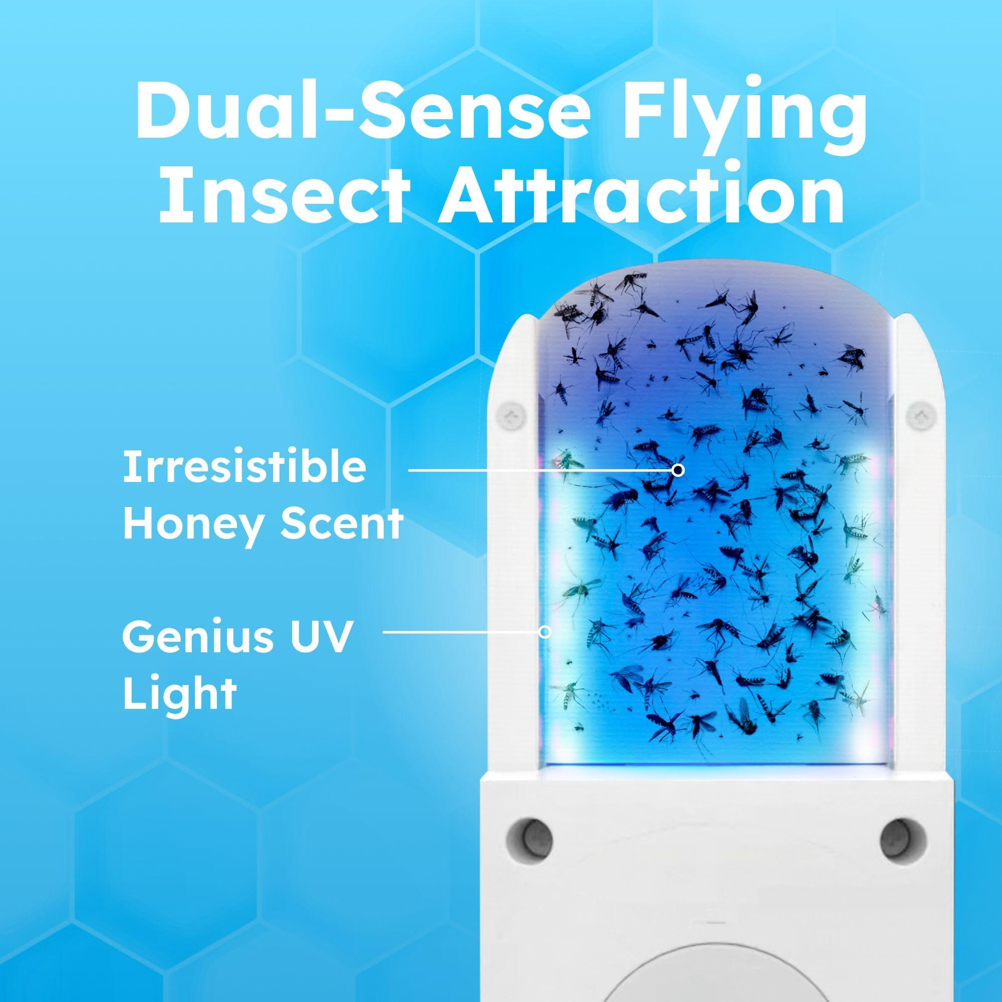 BugMD No Buzz Zone - Flying Insect Trap Catcher Indoor Fly Safer Home Fruit Traps for Gnat Moth Mosquito Bug Light Plug in Killer Refillable Uv Zapper Flea Inside and Indoors 1 Device + 6 Refill - Image 3