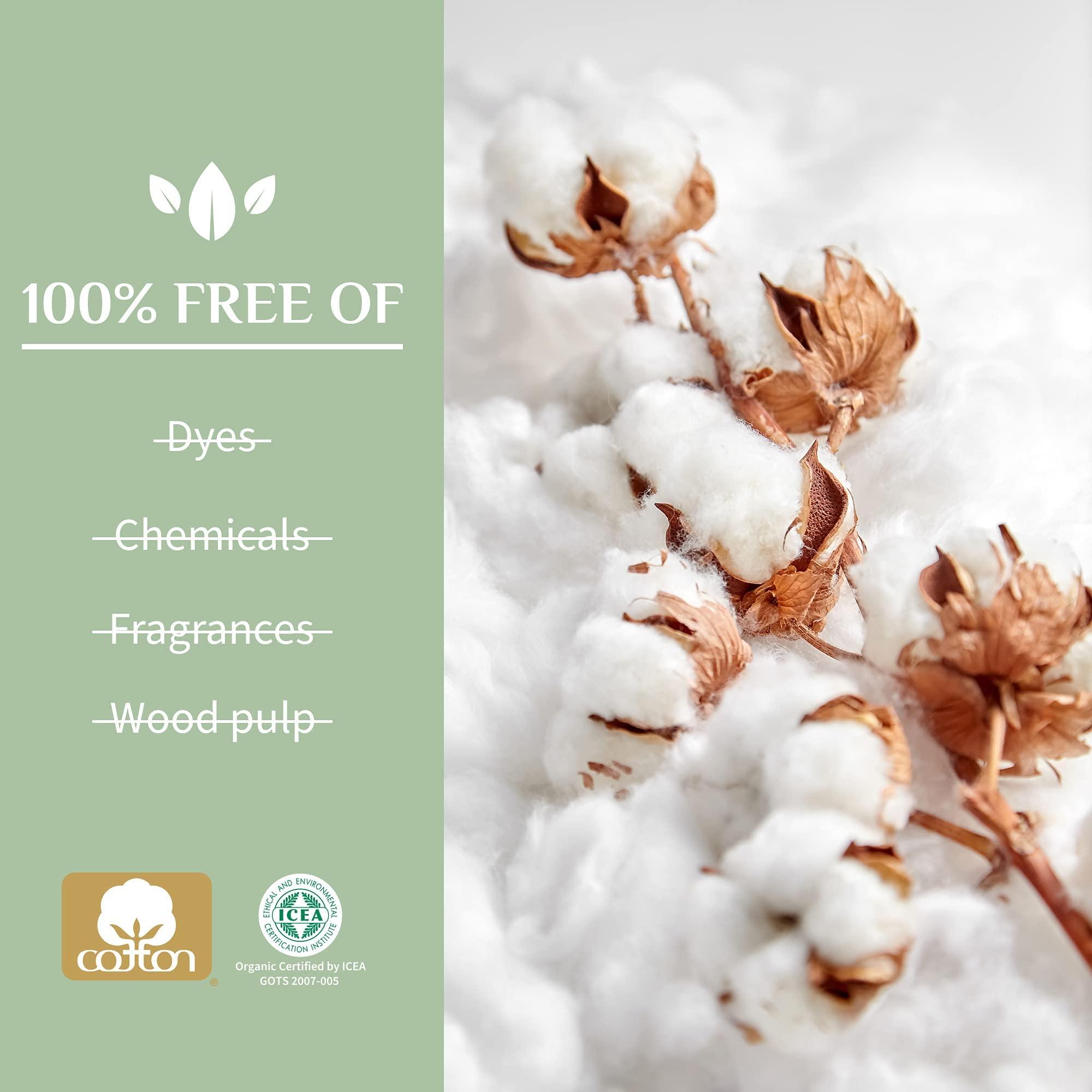 Organyc 100% Certified Organic Cotton Inside and Out Folded Panty Liner, Ultra Thin, Light Flow, 24 Count - Image 3
