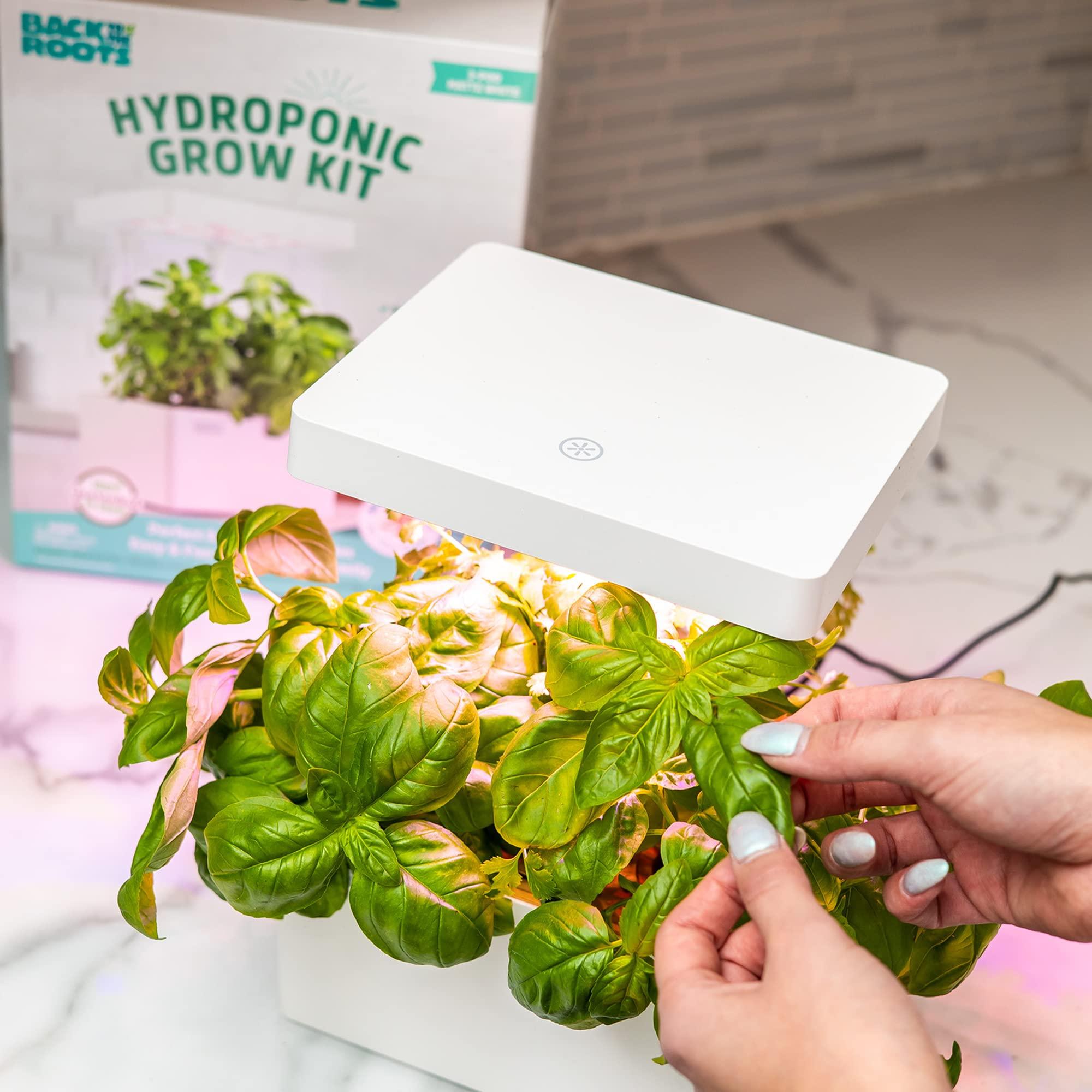 Back to the Roots Hydroponic Grow Kit, Indoor Garden with Light (Matte White), Organic Seeds Included, Gardening Gift, Everything Included - Image 5