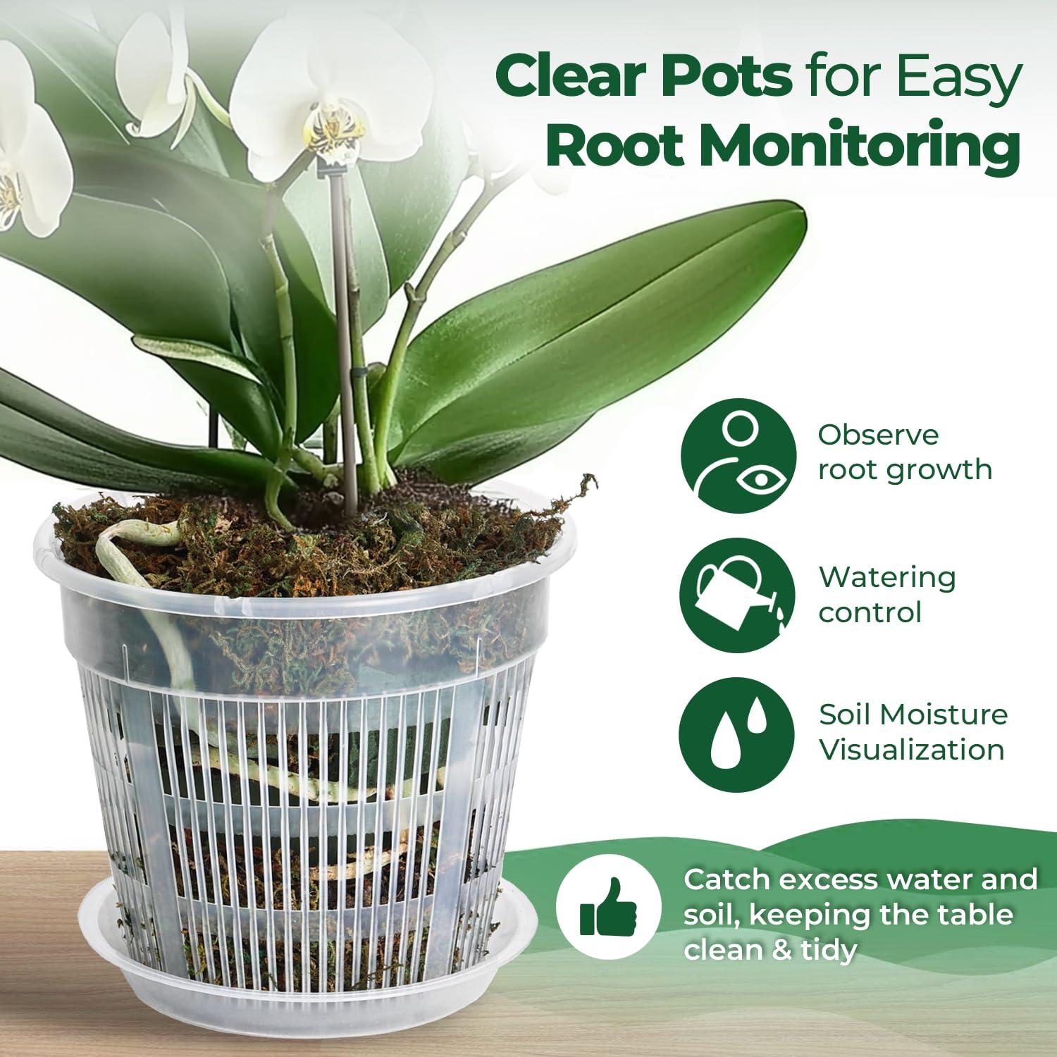 T4U Orchid Pot, 6 Pack 6.3 Inch Orchid Pots with Holes and Saucers, Clear Orchid Pots for Repotting, Plastic Flower Plant Pot for Indoor Outdoor Plants, Slotted Orchids Planter for Root Health - Image 6
