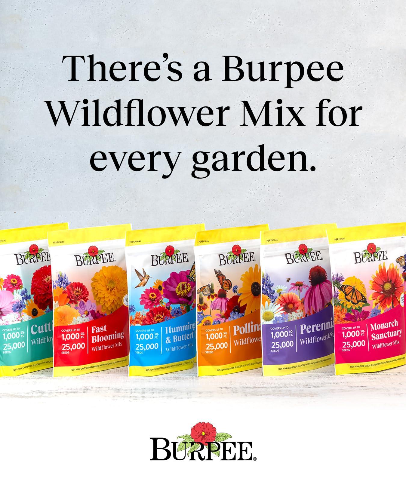 Burpee Wildflower 25,000 Bulk, 1 Bag | 18 Varieties of Non-GMO Flower Seeds Pollinator Garden, Perennial Mix - Image 7