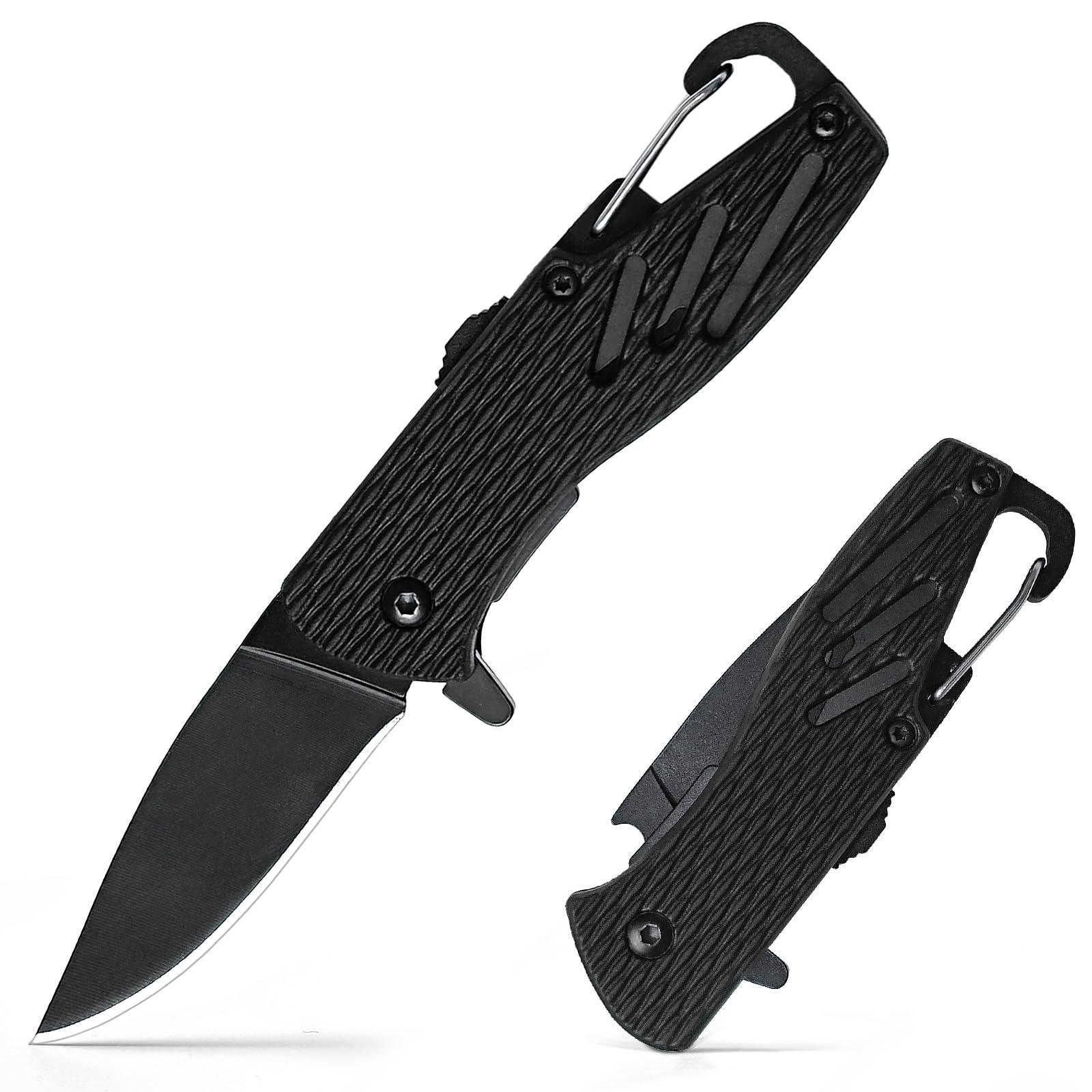BARRYSAIL Keychain Folding Knife, Small Pocket Knife with Safety Lock, 2.5" Steel Blade, Bottle Opener, Great EDC Tool for Father's Day Gift (Model 6175P)