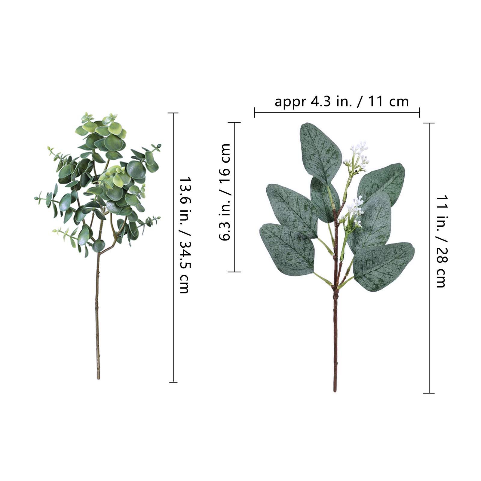 Winlyn 20 Pcs Mixed Artificial Oval Eucalyptus Leaves Bulk with White Seeds Stems and Spray for Vase Floral Wreath Bouquets Wedding Greenery Decoration - Image 3