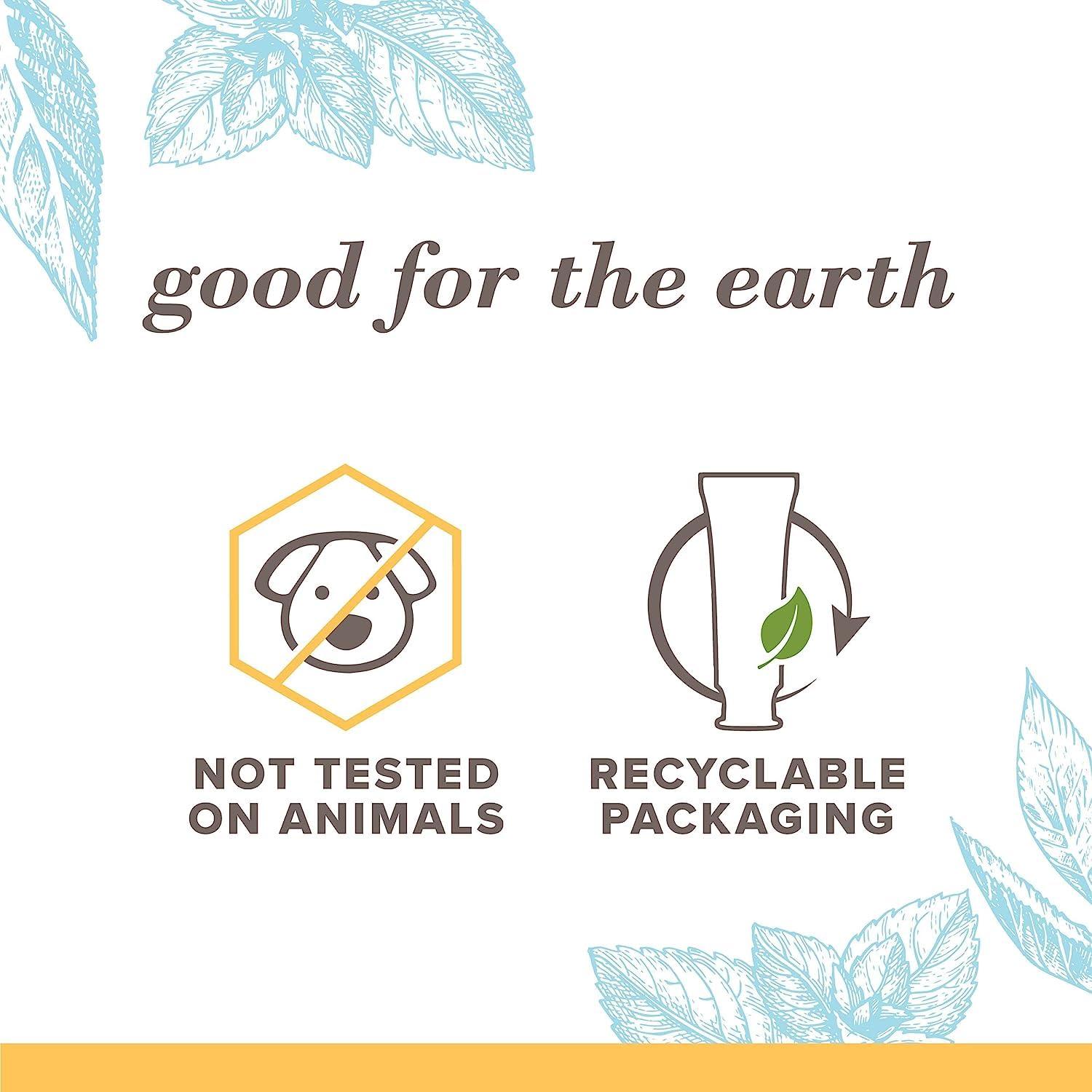 Burt's Bees Extra White Toothpaste, Fluoride Toothpaste, Natural Flavor, Mountain Mint, 4.7 oz, Pack of 3 - Image 4