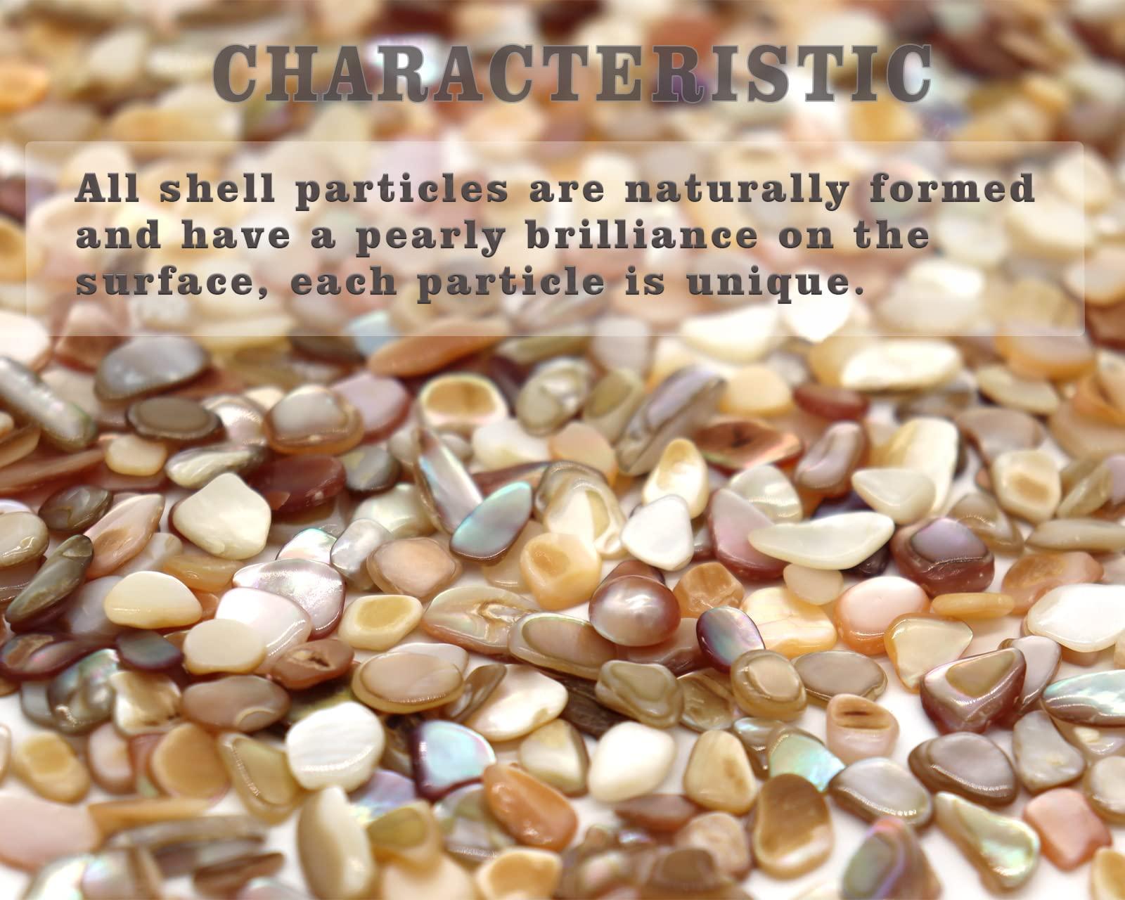Small Mini Natural Crushed Mother of Pearl Shells for Weddings Vase Filler Home Décor, and Crafts 32 oz (2 lb), Colorful - Image 4