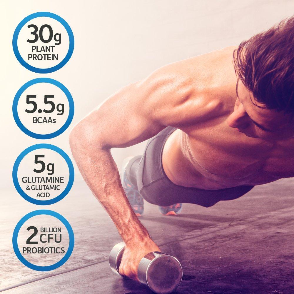 Organic Vegan Vanilla Protein Powder with Probiotics, BCAAs, 30g Plant Protein, NSF Certified, Gluten Free & Sport, Non GMO, Garden of Life Sport Protein Powder - 19 Servings - Image 2