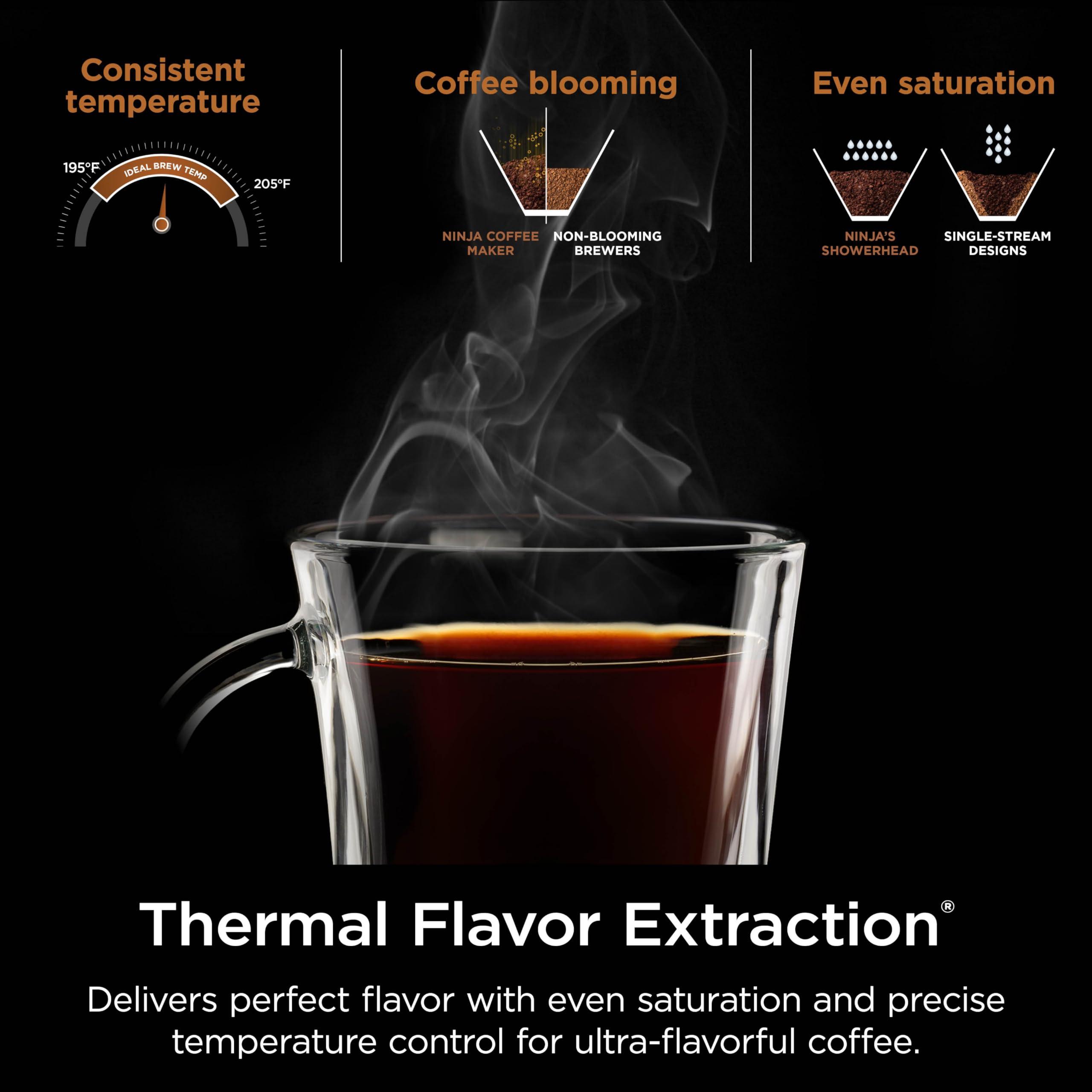 Ninja Hot & Iced XL Coffee Maker with Rapid Cold Brew, 4 Brew Styles, 8 Sizes Small Cup to Travel Mug, Single-Serve Coffee Brewer, 12-Cup Carafe, Permanent Filter, Removable Reservoir, Black, CM371 - Image 8