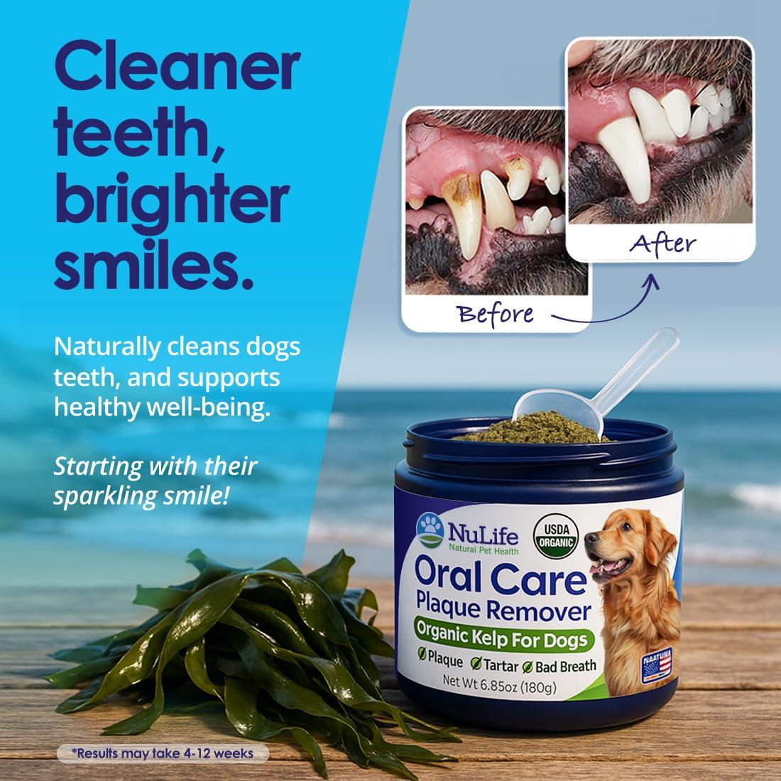 NuLife Natural Pet Health Dog Teeth Cleaning Powder, Dog Plaque and Tartar Remover, Bad Breath Treatment for Dogs with USDA Organic Sea Kelp Powder, Dog Dental Care Made Easy, for All Ages, 12 oz - Image 6