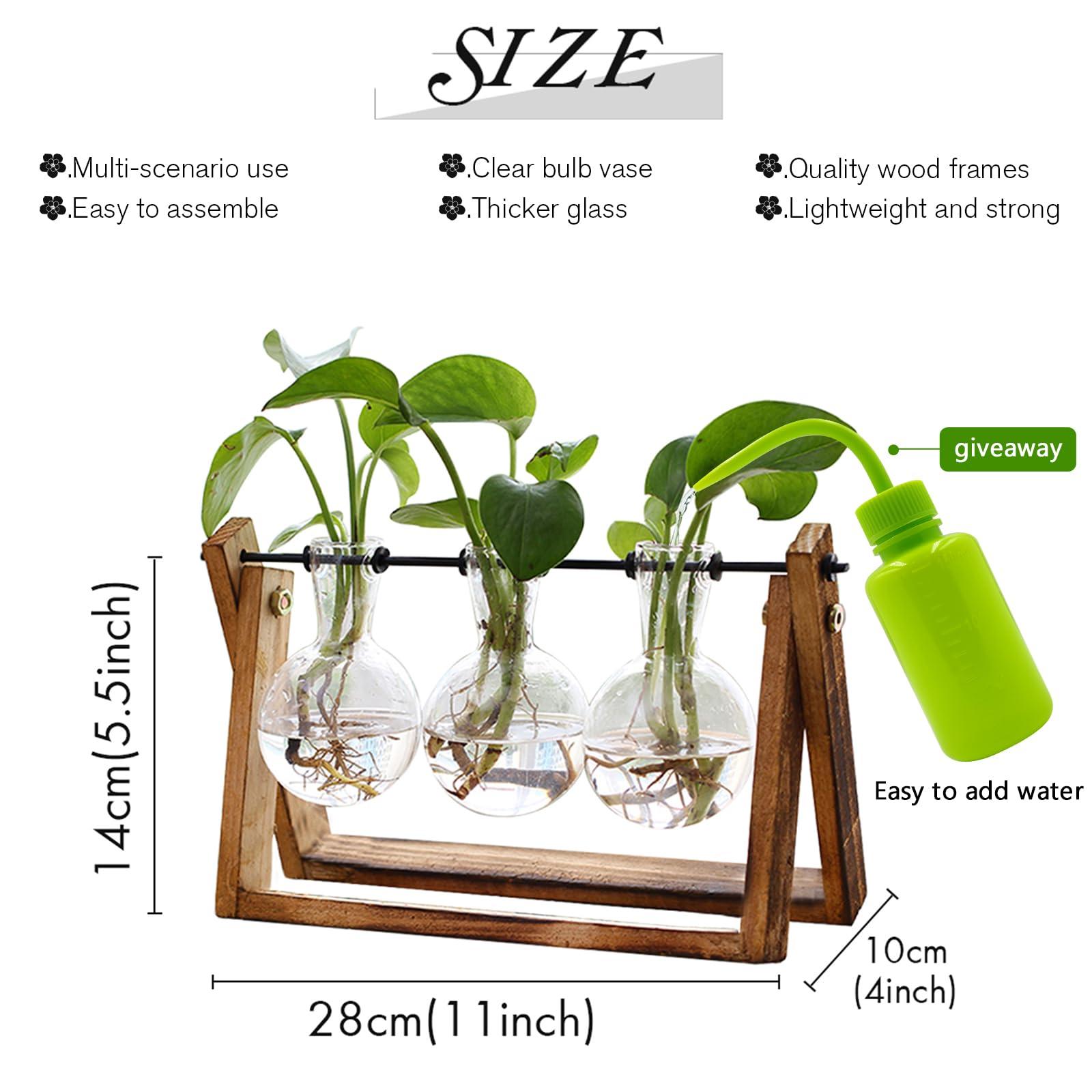 XXXFLOWER Plant Terrarium with Wooden Stand, Air Planter Bulb Glass Vase Metal Swivel Holder Retro Tabletop for Hydroponics Home Garden Office Decoration - 3 Bulb Vase - Image 2
