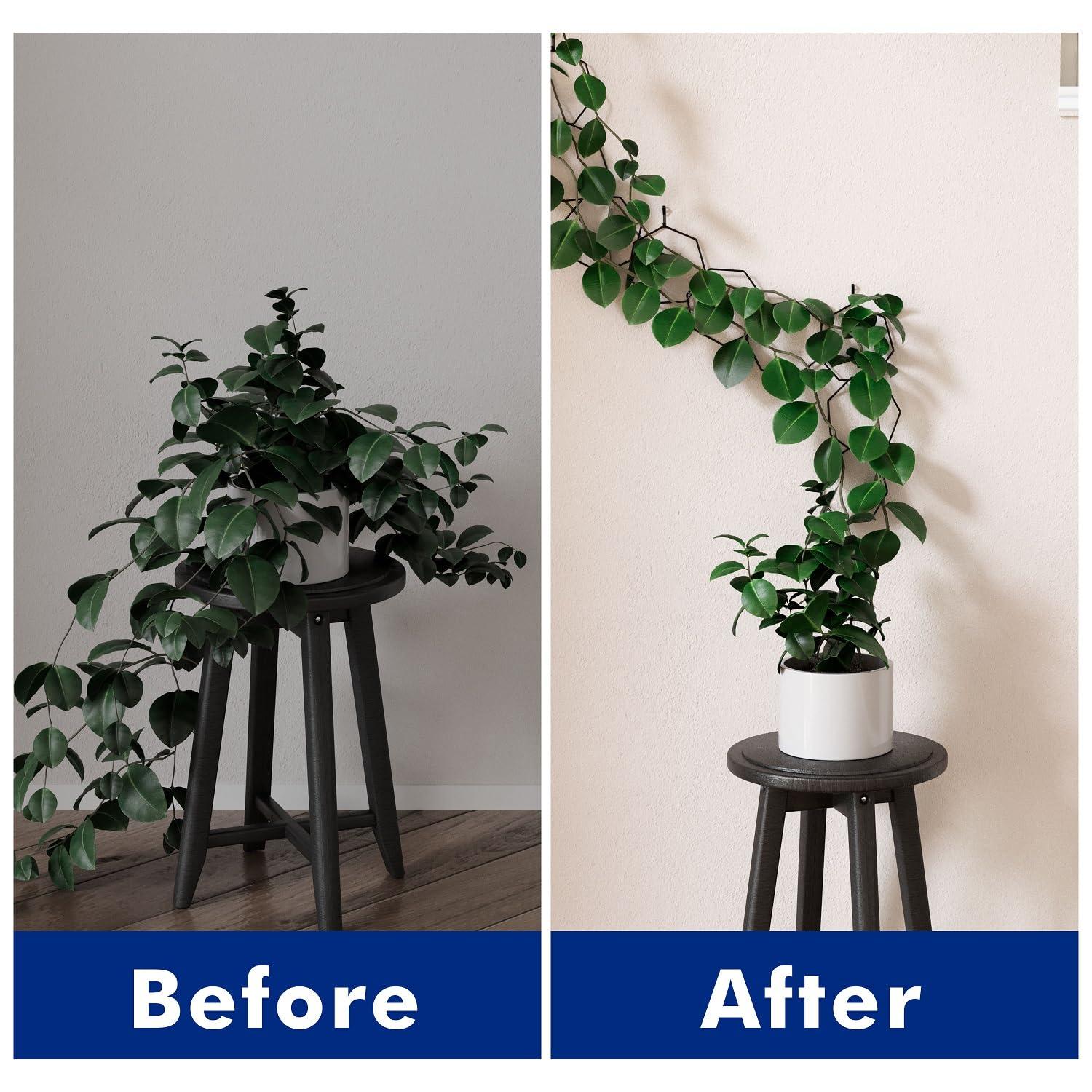 Chain Trellis for Climbing Plants - Versatile Indoor and Outdoor Accessories for Monstera, Pothos, Ivy, and Others | Support for Vines and Garden Wall Trellis (Black) - Image 4