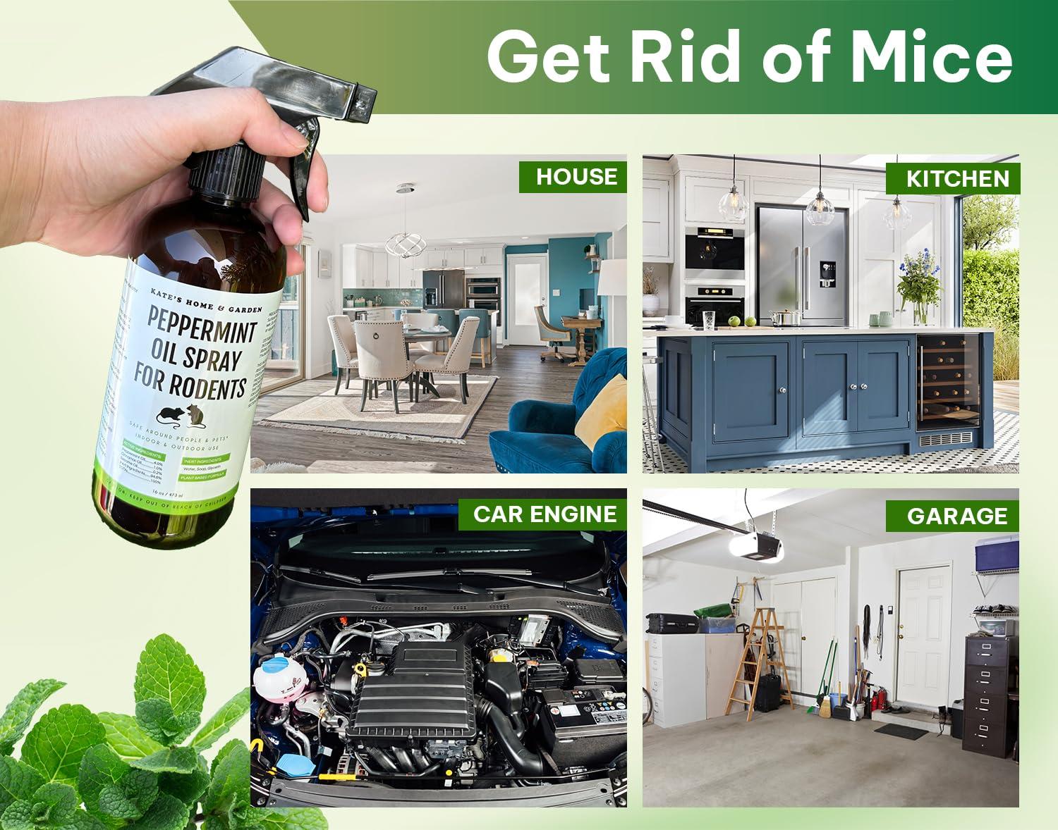 Kate Naturals Peppermint Oil Spray for Rodents, Mouse (16oz, Pet Safe). Rodent Repellent Outdoor for Car Engines, Mice, Rat, Bat, House, Plants, Attic, Basement - Image 3